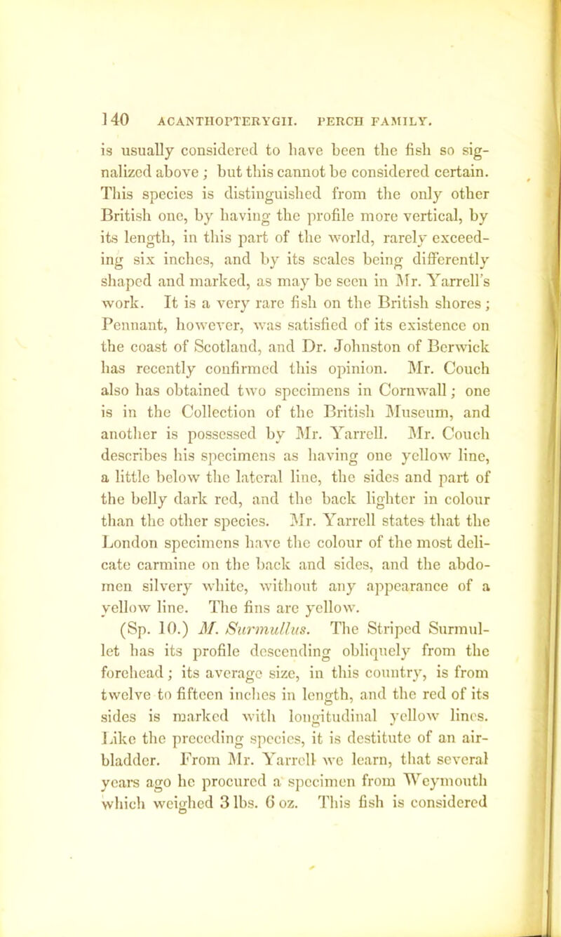 is usually considered to liave been tbe fish so sig- nalized above; but this cannot be considered certain. This species is distinguished from the only other British one, by having the profile more vertical, by its length, in this part of the world, rarely exceed- ing six inches, and by its scales being differently shaped and marked, as may be seen in Mr. Yarrell’s work. It is a very rare fish on the British shores; Pennant, however, was satisfied of its existence on the coast of Scotland, and Dr. Johnston of Berwick has recently confirmed this opinion. Mr. Couch also has obtained two specimens in Cornwall; one is in the Collection of the British Museum, and another is possessed by Mr. Yarrell. Mr. Couch describes his specimens as having one yellow line, a little below the lateral line, the sides and part of the belly dark red, and the back lighter in colour than the other species. Mr. Yarrell states-that the London specimens have the colour of the most deli- cate carmine on the back and sides, and the abdo- men silvery white, without any appearance of a yellow line. The fins are yellow. (Sp. 10.) M. Surmullus. Tire Striped Surmul- let has its profile descending obliquely from tbe forehead; its average size, in this country, is from twelve to fifteen inches in lensth, and the red of its sides is marked with longitudinal yellow lines. Like the preceding species, it is destitute of an air- bladder. From Mr. Yarrell we learn, that several years ago he procured a specimen from Weymouth which weighed 3 lbs. 6oz. This fish is considered