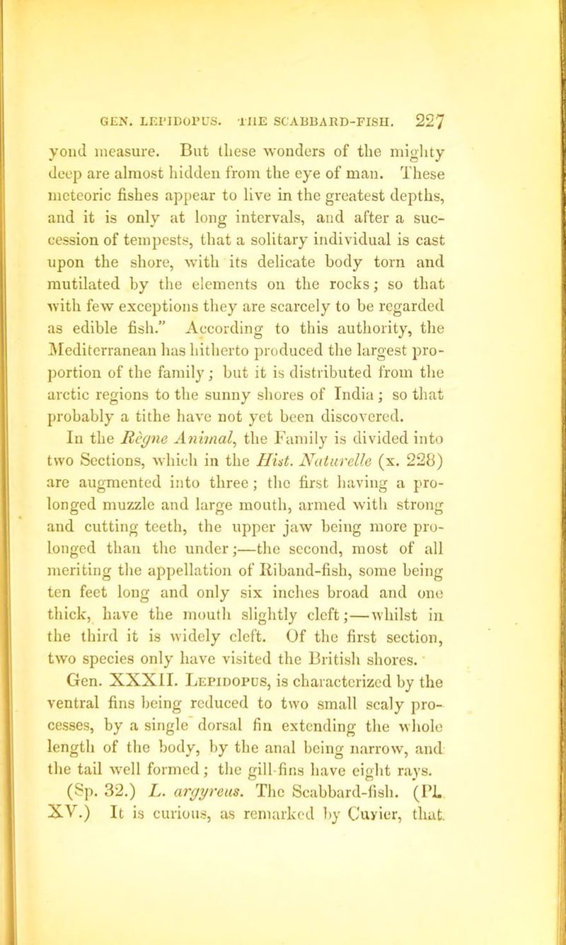 yond measure. But these wonders of the mighty deep are almost hidden from the eye of man. These meteoric fishes appear to live in the greatest depths, and it is only at long intervals, and after a suc- cession of tempests, that a solitary individual is cast upon the shore, with its delicate body torn and mutilated by the elements on the rocks; so that with few exceptions they are scarcely to be regarded as edible fish.” According to this authority, the Mediterranean has hitherto produced the largest pro- portion of the family; but it is distributed from the arctic regions to the sunny shores of India; so that probably a tithe have not yet been discovered. In the Regne Animal, the Family is divided into two Sections, which in the Hut. Naturelle (x. 228) are augmented into three; the first having a pro- longed muzzle and large mouth, armed with strong and cutting teeth, the upper jaw being more pro- longed than the under;—the second, most of all meriting the appellation of Riband-fish, some being ten feet long and only six inches broad and one thick, have the mouth slightly cleft;—whilst in the third it is widely cleft. Of the first section, two species only have visited the British shores. Gen. XXXII. Lepidopus, is characterized by the ventral fins being reduced to two small scaly pro- cesses, by a single dorsal fin extending the whole length of the body, by the anal being narrow, and the tail well formed; the gill-fins have eight rays. (Sp. 32.) L. argyreus. The Scabbard-fish. (Pi. XV.) It is curious, as remarked by Cuyier, that.