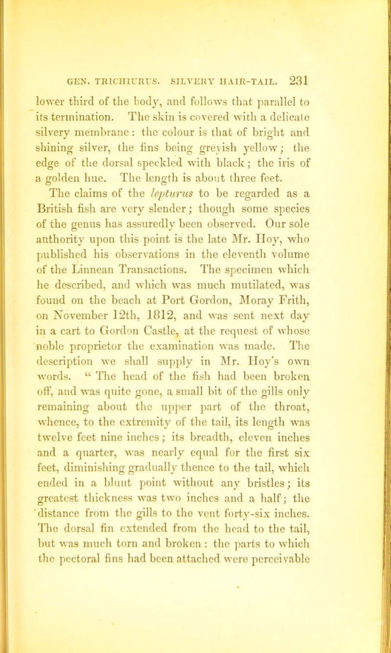 lower third of the body, and follows that parallel to its termination. The skin is covered with a delicate silvery membrane: the colour is that of bright and shining silver, the fins being greyish yellow; the edge of the dorsal speckled with black; the iris of a golden hue. The length is about three feet. The claims of the lepturus to be regarded as a British fish are very slender; though some species of the genus has assuredly been observed. Our sole authority upon this point is the late Mr. Iloy, who published his observations in the eleventh volume of the Linnean Transactions. The specimen which he described, and which was much mutilated, was found on the beach at Port Gordon, Moray Frith, on November 12th, 1812, and was sent next day in a cart to Gordon Castle, at the request of whose noble proprietor the examination was made. The description we shall supply in Mr. Hoy’s own words. “ The head of the fish had been broken off, and was quite gone, a small bit of the gills only remaining about the upper part of the throat, whence, to the extremity of the tail, its length was twelve feet nine inches; its breadth, eleven inches and a quarter, was nearly equal for the first six feet, diminishing gradually thence to the tail, which ended in a blunt point without any bristles; its greatest thickness was two inches and a half; the distance from the gills to the vent forty-six inches. The dorsal fin extended from the head to the tail, but was much torn and broken : the parts to which the pectoral fins had been attached were perceivable