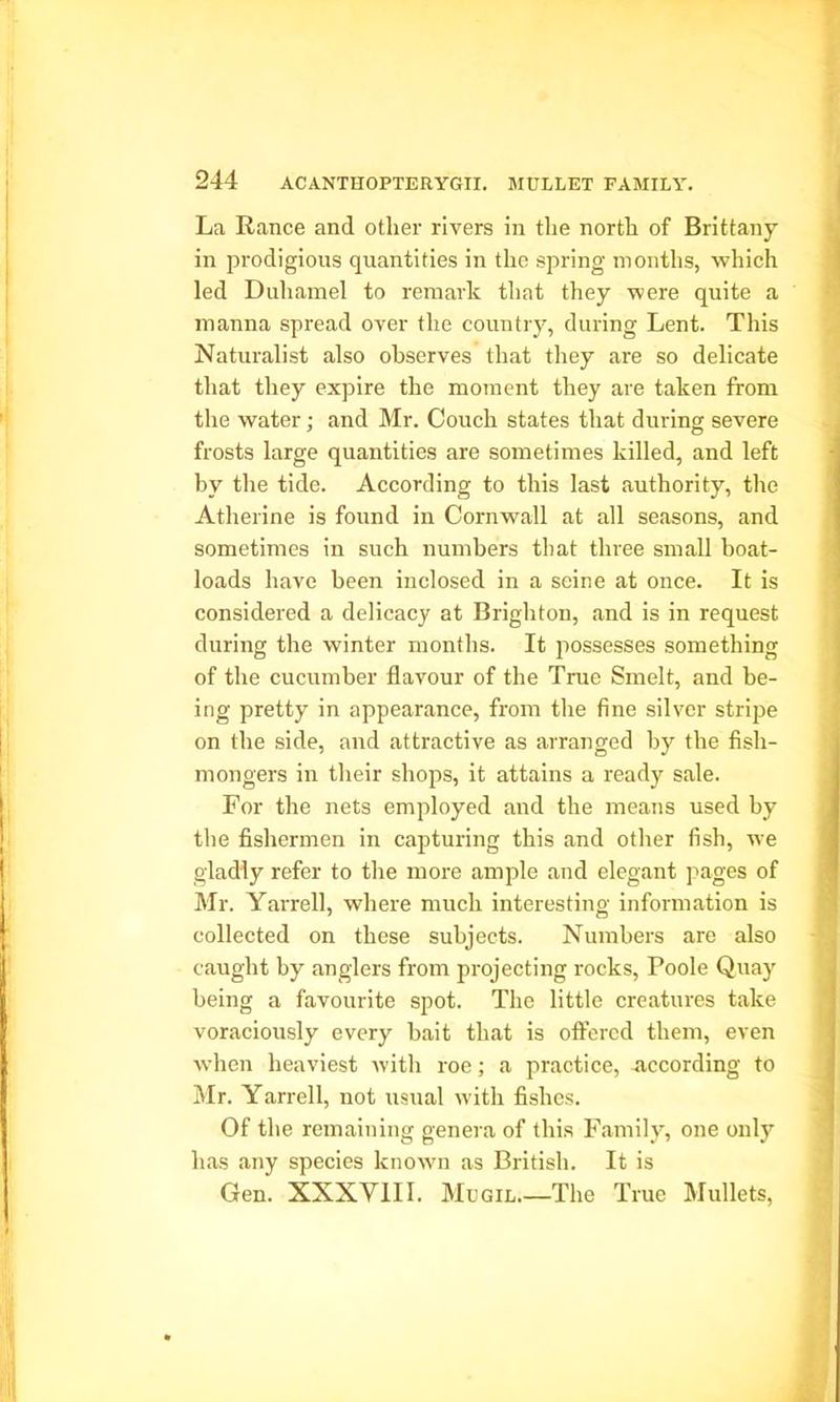 La Ranee and other rivers in the north of Brittany in prodigious quantities in the spring months, which led Duhamel to remark that they were quite a manna spread over the country, during Lent. This Naturalist also observes that they are so delicate that they expire the moment they are taken from the water; and Mr. Couch states that during severe frosts large quantities are sometimes killed, and left by the tide. According to this last authority, the Atherine is found in Cornwall at all seasons, and sometimes in such numbers that three small boat- loads have been inclosed in a seine at once. It is considered a delicacy at Brighton, and is in request during the winter months. It possesses something of the cucumber flavour of the True Smelt, and be- ing pretty in appearance, from the fine silver stripe on the side, and attractive as arranged by the fish- mongers in their shops, it attains a ready sale. For the nets employed and the means used by the fishermen in capturing this and other fish, we gladly refer to the more ample and elegant pages of Mr. Yarrell, where much interesting information is collected on these subjects. Numbers are also caught by anglers from projecting rocks, Poole Quay being a favourite spot. The little creatures take voraciously every bait that is offered them, even when heaviest with roe; a practice, According to Mr. Yarrell, not usual with fishes. Of the remaining genera of this Family, one only has any species known as British. It is Gen. XXXY11I. Mugil The True Mullets,
