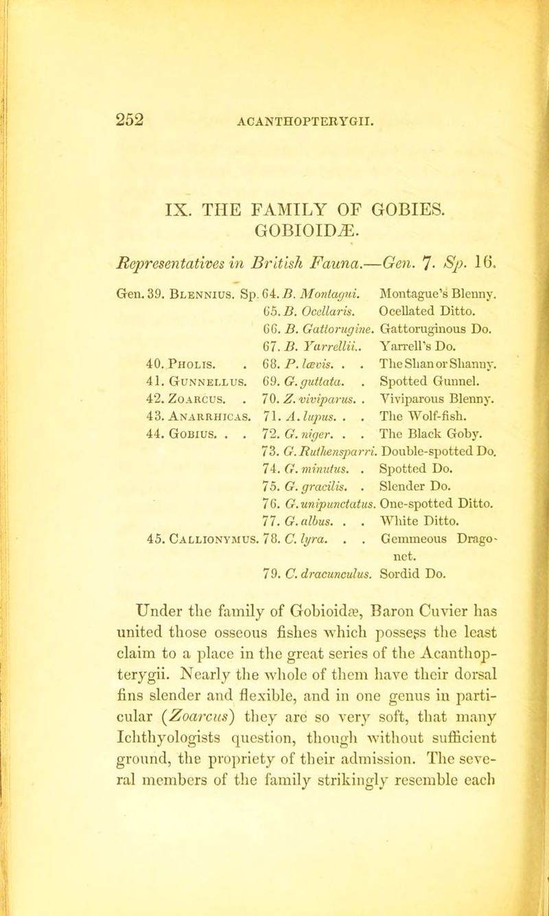 IX. THE FAMILY OF GOBIES. GOBIOIDiE. Representatives in British Fauna.—Gen. 7. Bp. 16. Gen. 39. Blennius. Sp. 64. B. Monlagni. 65. B. Ocellaris. 66. B. Gattorugine. 67. B. Yarrellii.. 68. P. Itevis. . 69. G. guttata. 70. Z. viviparus. . 71 .A. lupus. . 72. G. niger. . 73. G. Ruthensparri. 74. G. minutus. . 7 5. G. gracilis. . 76. G.unipunctatus. ll.G.albus. . . 45. Callionymus. 78. C. lyra. . . 79. C. dracunculus. 40. Pholis. 41. Gunnellus. 42. Zoarcus. 43. Anarrhicas. 44. Gobius. . . Montague’s Blenny. Ocellated Ditto. Gattoruginous Do. Yarrell’s Do. The Shan or Slianny. Spotted Gunnel. Viviparous Blenny. The Wolf-fish. The Black Goby. Double-spotted Do. Spotted Do. Slender Do. One-spotted Ditto. White Ditto. Cemmeous Drago- net. Sordid Do. Under the family of Gobioida?, Baron Cuvier has united those osseous fishes which possess the least claim to a place in the great series of the Acanthop- terygii. Nearly the whole of them have their dorsal fins slender and flexible, and in one genus in parti- cular (Zoarcus) they are so very soft, that many Ichthyologists question, though without sufficient ground, the propriety of their admission. The seve- ral members of the family strikingly resemble each
