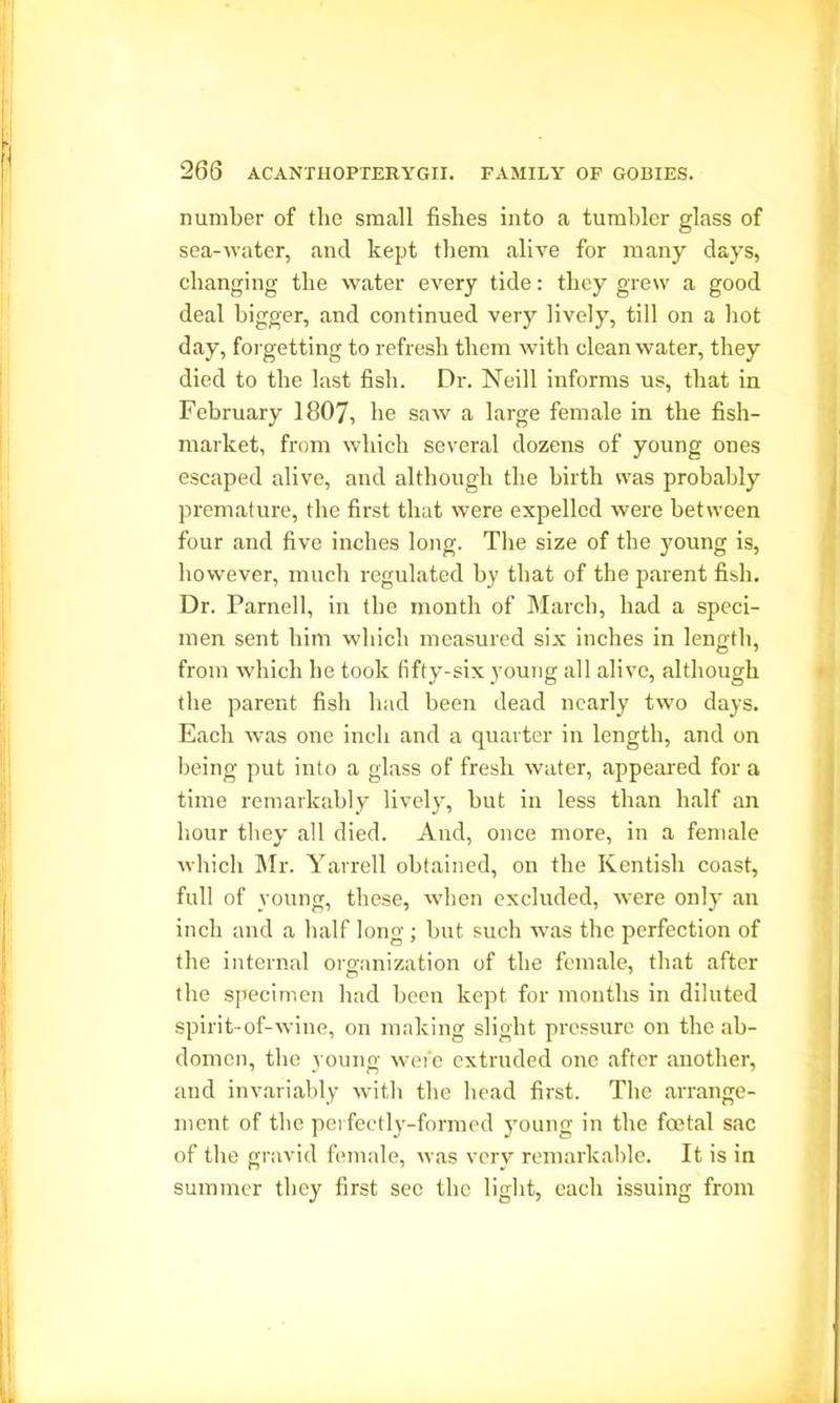number of the small fishes into a tumbler glass of sea-water, and kept them alive for many days, changing the water every tide: they grew a good deal bigger, and continued very lively, till on a hot day, forgetting to refresh them with clean water, they died to the last fish. Dr. Neill informs us, that in February 1807, he saw a large female in the fish- market, from which several dozens of young ones escaped alive, and although the birth was probably premature, the first that were expelled were between four and five inches long. The size of the young is, however, much regulated by that of the parent fish. Dr. Parnell, in the month of March, had a speci- men sent him which measured six inches in length, from which he took fifty-six young all alive, although the parent fish had been dead nearly two days. Each was one inch and a quarter in length, and on being put into a glass of fresh water, appeared for a time remarkably lively, but in less than half an hour they all died. And, once more, in a female which Mr. Yarrell obtained, on the Kentish coast, full of young, these, when excluded, were only an inch and a half long ; but such was the perfection of the internal oroanization of the female, that after the specimen had been kept for months in diluted spirit- of-wine, on making slight pressure on the ab- domen, the young were extruded one after another, and invariably with the head first. The arrange- ment of the perfectly-formed young in the foetal sac of the gravid female, was very remarkable. It is in summer they first sec the light, each issuing from