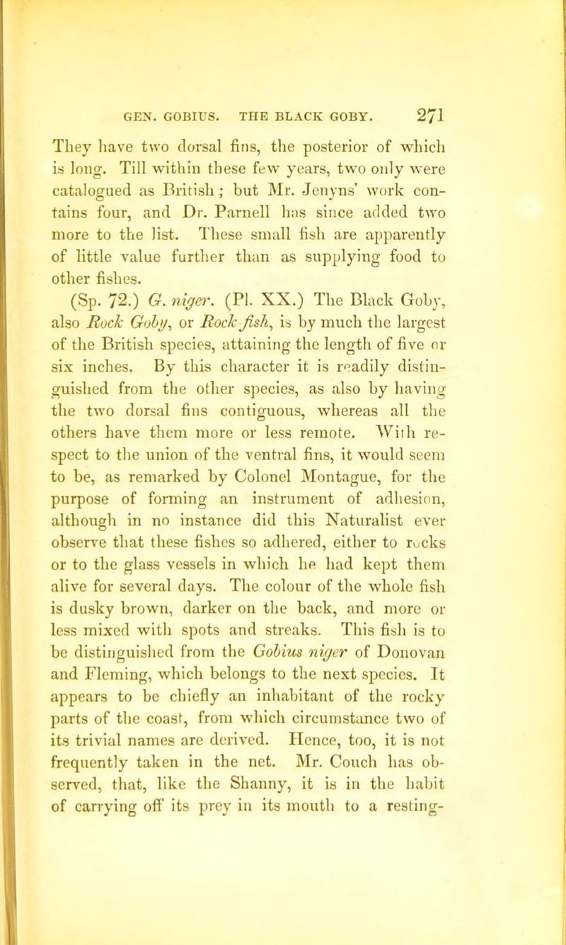 They have two dorsal fins, the posterior of which is long. Till within these few years, two only were catalogued as British; but Mr. Jenyns’ work con- tains four, and Dr. Parnell has since added two more to the list. These small fish are apparently of little value further than as supplying food to other fishes. (Sp. y2.) G. niger. (PI. XX.) The Black Goby, also Rock Gobi/, or Rock fish, is by much the largest of the British species, attaining the length of five or six inches. By this character it is readily distin- guished from the other species, as also by having the two dorsal fins contiguous, whereas all the others have them more or less remote. With re- spect to the union of the ventral fins, it would seem to be, as remarked by Colonel Montague, for the purpose of forming an instrument of adhesion, although in no instance did this Naturalist ever observe that these fishes so adhered, either to rocks or to the glass vessels in which he had kept them alive for several days. The colour of the whole fish is dusky brown, darker on the back, and more or less mixed with spots and streaks. This fish is to be distinguished from the Gobius niger of Donovan and Fleming, wdiich belongs to the next species. It appears to be chiefly an inhabitant of the rocky parts of the coast, from which circumstance two of its trivial names are derived. Hence, too, it is not frequently taken in the net. Mr. Couch has ob- served, that, like the Shanny, it is in the habit of carrying off its prey in its mouth to a resting-