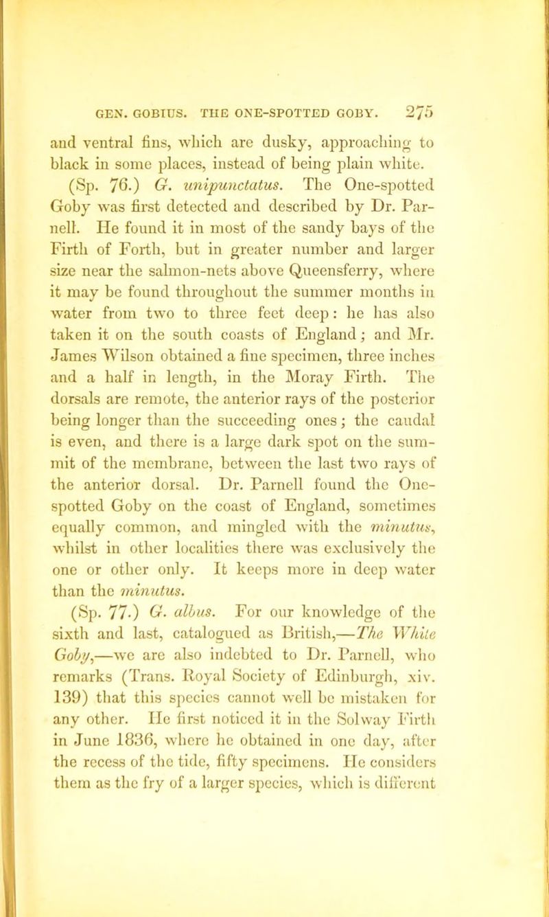 aud ventral fins, which are dusky, approaching to black in some places, instead of being plain white. (Sp. 76-) G. unipunctatus. The One-spotted Goby was first detected and described by Dr. Par- nell. He found it in most of the sandy bays of the Firth of Forth, but in greater number and larger size near the salmon-nets above Queensferry, where it may be found throughout the summer months in water from two to three feet deep: he has also taken it on the south coasts of England; and Mr. James Wilson obtained a fine specimen, three inches and a half in length, in the Moray Firth. The dorsals are remote, the anterior rays of the posterior being longer than the succeeding ones; the caudal is even, and there is a large dark spot on the sum- mit of the membrane, between the last two rays of the anterior dorsal. Dr. Parnell found the One- spotted Goby on the coast of England, sometimes equally common, and mingled with the minutus, whilst in other localities there was exclusively the one or other only. It keeps more in deep water than the minutus. (Sp. 77-) G. alius. For our knowledge of the sixth and last, catalogued as British,—The While Goby,—we are also indebted to Dr. Parnell, who remarks (Trans. Royal Society of Edinburgh, xiv. 139) that this species cannot well be mistaken for any other. He first noticed it in the Solway Firth in June 1836, where he obtained in one day, after the recess of the tide, fifty specimens. He considers them as the fry of a larger species, which is different