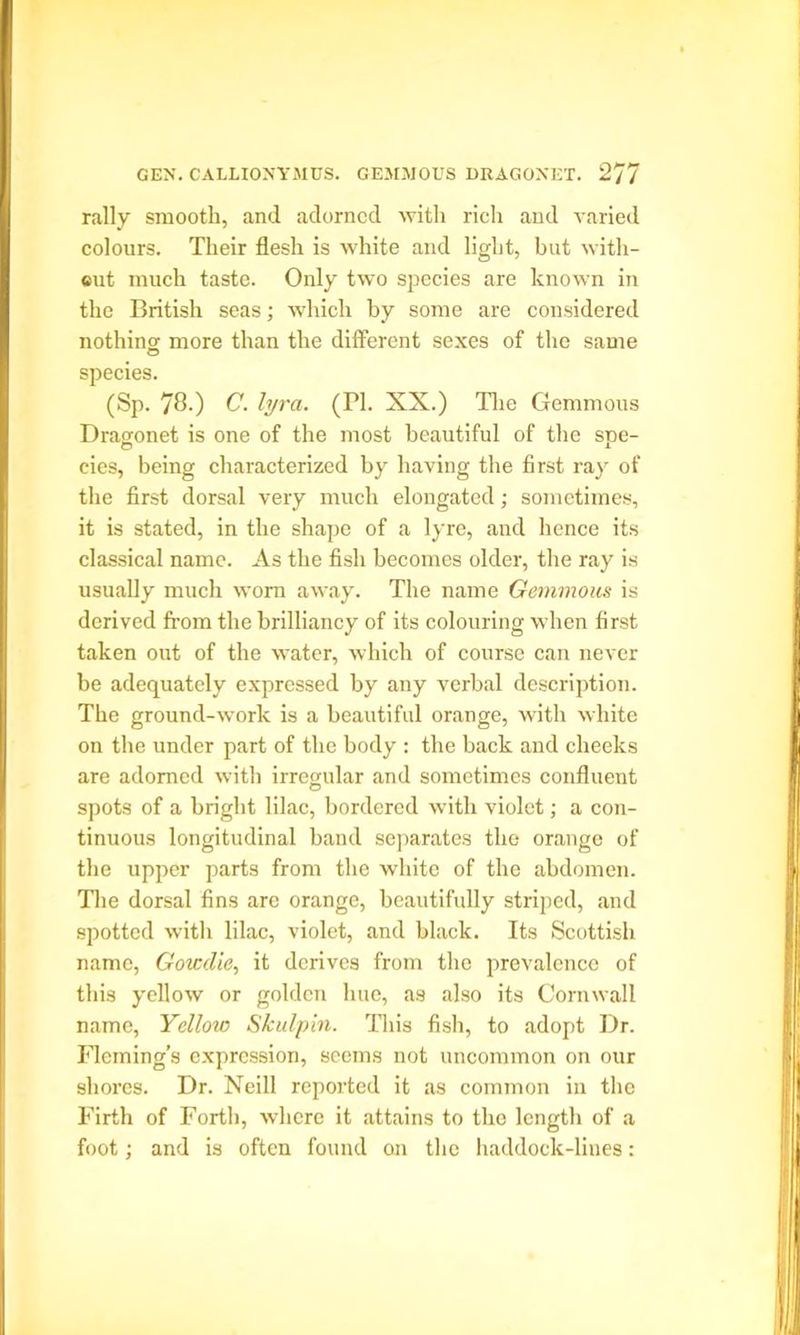 rally smooth, and adorned with rich and varied colours. Their flesh is white and light, but with- cut much taste. Only two species are known in the British seas; which by some are considered nothing more than the different sexes of the same species. (Sp. 78.) C. lyra. (Id. XX.) The Gemmous Dragonet is one of the most beautiful of the sue- cies, being characterized by having the first ray of the first dorsal very much elongated; sometimes, it is stated, in the shape of a lyre, and hence its classical name. As the fish becomes older, the ray is usually much worn away. The name Gemmous is derived from the brilliancy of its colouring when first taken out of the water, which of course can never be adequately expressed by any verbal description. The ground-work is a beautiful orange, with white on the under part of the body : the back and cheeks are adorned with irregular and sometimes confluent spots of a bright lilac, bordered with violet; a con- tinuous longitudinal band separates the orange of the upper parts from the white of the abdomen. The dorsal fins are orange, beautifully striped, and spotted with lilac, violet, and black. Its Scottish name, Gowdie, it derives from the prevalence of this yellow or golden hue, as also its Cornwall name, Yellow Skulpin. This fish, to adopt Dr. Fleming’s expression, seems not uncommon on our shores. Dr. Neill reported it as common in the Firth of Forth, where it attains to the length of a foot; and is often found on the haddock-liues: