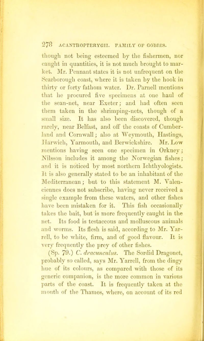 though not being esteemed by the fishermen, nor caught in quantities, it is not much brought to mar- ket. Mr. Pennant states it is not unfrequent on the Scarborough coast, where it is taken by the hook in thirty or forty fathom water. Dr. Parnell mentions that he procured five specimens at one haul of the sean-net, near Exeter; and had often seen them taken in the shrimping-nets, though of a small size. It has also been discovered, though rarely, near Belfast, and off the coasts of Cumber- land and Cornwall; also at Weymouth, Hastings, Harwich, Yarmouth, and Berwickshire. Mr. Low mentions having seen one specimen in Orkney ; Nilsson includes it among the Norwegian fishes; and it is noticed by most northern Ichthyologists. It is also generally stated to be an inhabitant of the Mediterranean; but to this statement M. Valen- ciennes does not subscribe, having never received a single example from these waters, and other fishes have been mistaken for it. This fish occasionally takes the bait, but is more frequently caught in the net. Its food is testaceous and molluscous animals and worms. Its flesh is said, according to Mr. Yar- rell, to be white, firm, and of good flavour. It is very frequently the prey of other fishes. (Sp. 79.) C. dracunculus. The Sordid Dragonet, probably so called, says Mr. Yarrcll, from the dingy hue of its colours, as compared with those of its generic companion, is the more common in various parts of the coast. It is frequently taken at the mouth of the Thames, where, on account of its red