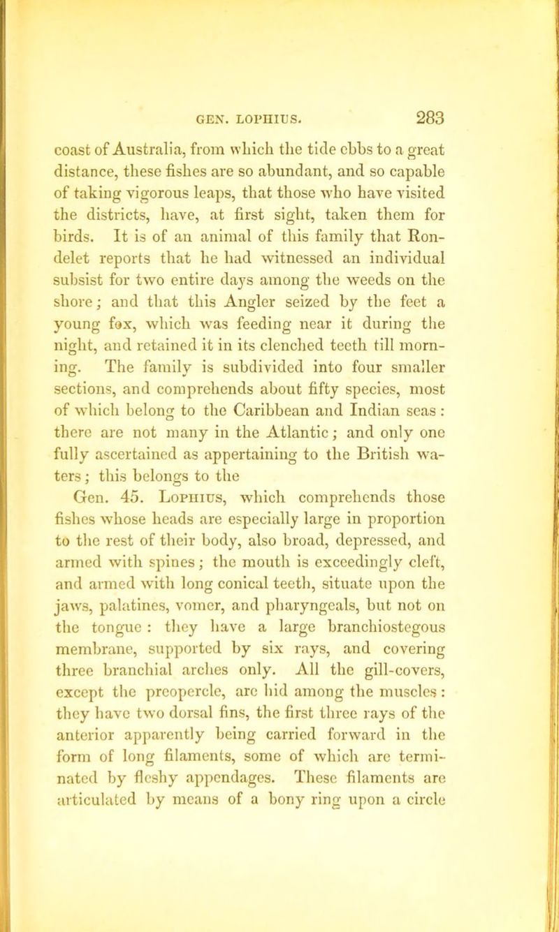 coast of Australia, from winch the tide ebbs to a great distance, these fishes are so abundant, and so capable of taking vigorous leaps, that those who have visited the districts, have, at first sight, taken them for birds. It is of an animal of this family that Ron- delet reports that he had witnessed an individual subsist for two entire days among the weeds on the shore; and that this Angler seized by the feet a young fax, which was feeding near it during the night, and retained it in its clenched teeth till morn- ing. The family is subdivided into four smaller sections, and comprehends about fifty species, most of which belong to the Caribbean and Indian seas: there are not many in the Atlantic; and only one fully ascertained as appertaining to the British wa- ters ; this belongs to the Gen. 45. Lopiiius, which comprehends those fishes whose heads are especially large in proportion to the rest of their body, also broad, depressed, and armed with spines; the mouth is exceedingly cleft, and armed with long conical teeth, situate upon the jaws, palatines, vomer, and pharyngeals, but not on the tongue: they have a large branchiostegous membrane, supported by six rays, and covering three branchial arches only. All the gill-covers, except the preopercle, are hid among the muscles: they have two dorsal fins, the first three rays of the anterior apparently being carried forward in the form of long filaments, some of which arc termi- nated by flcshyr appendages. These filaments are articulated by means of a bony ring upon a circle