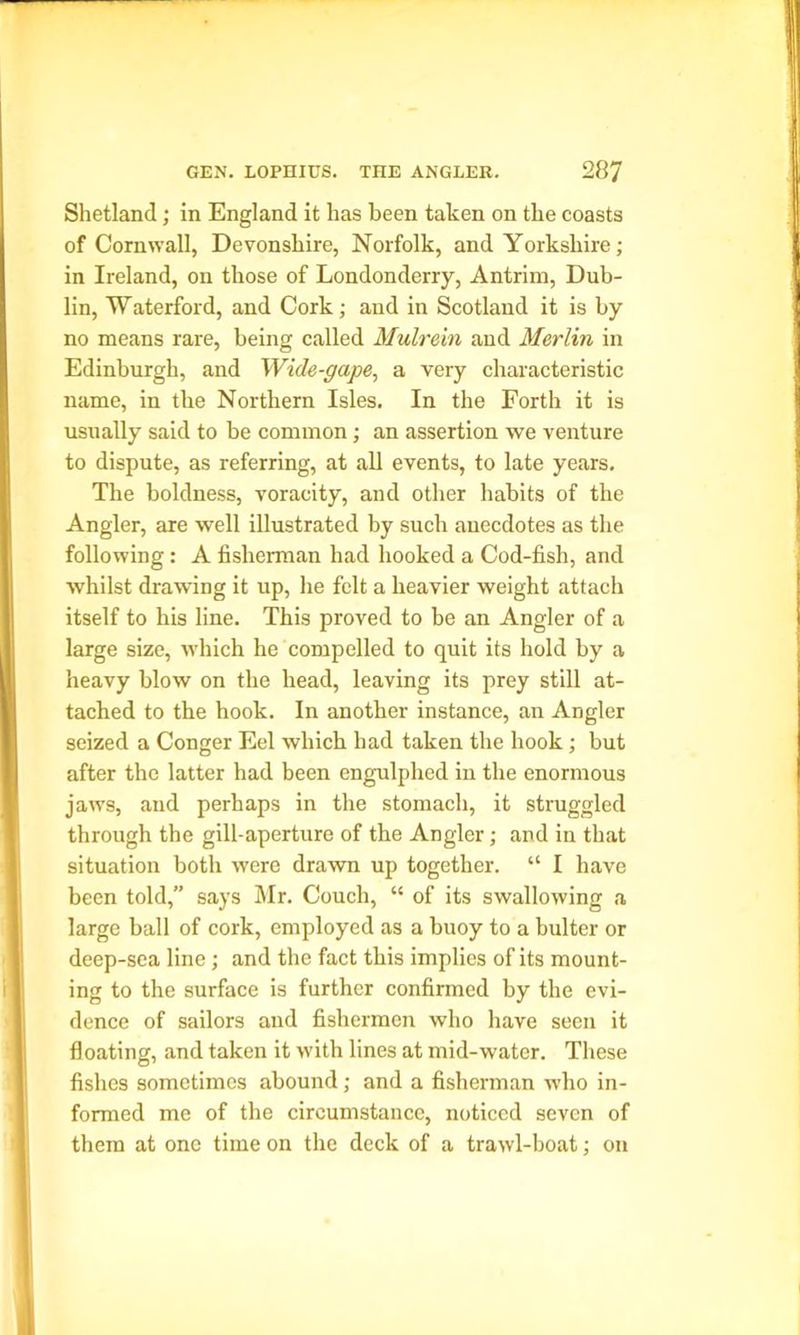 Shetland; in England it has been taken on the coasts of Cornwall, Devonshire, Norfolk, and Yorkshire; in Ireland, on those of Londonderry, Antrim, Dub- lin, Waterford, and Cork; and in Scotland it is by no means rare, being called Mulrein and Merlin in Edinburgh, and Wide-gape, a very characteristic name, in the Northern Isles. In the Forth it is usually said to be common; an assertion we venture to dispute, as referring, at all events, to late years. The boldness, voracity, and other habits of the Angler, are well illustrated by such anecdotes as the following: A fisherman had hooked a Cod-fish, and whilst drawing it up, he felt a heavier weight attach itself to his line. This proved to be an Angler of a large size, which he compelled to quit its hold by a heavy blow on the head, leaving its prey still at- tached to the hook. In another instance, an Angler seized a Conger Eel which had taken the hook; but after the latter had been engulphed in the enormous jaws, and perhaps in the stomach, it struggled through the gill-aperture of the Angler; and in that situation both were drawn up together. “ I have been told,” says Mr. Couch, “ of its swallowing a large ball of cork, employed as a buoy to a bulter or deep-sea line; and the fact this implies of its mount- ing to the surface is further confirmed by the evi- dence of sailors and fishermen who have seen it floating, and taken it with lines at mid-water. These fishes sometimes abound ; and a fisherman who in- formed me of the circumstance, noticed seven of them at one time on the deck of a trawl-boat: on
