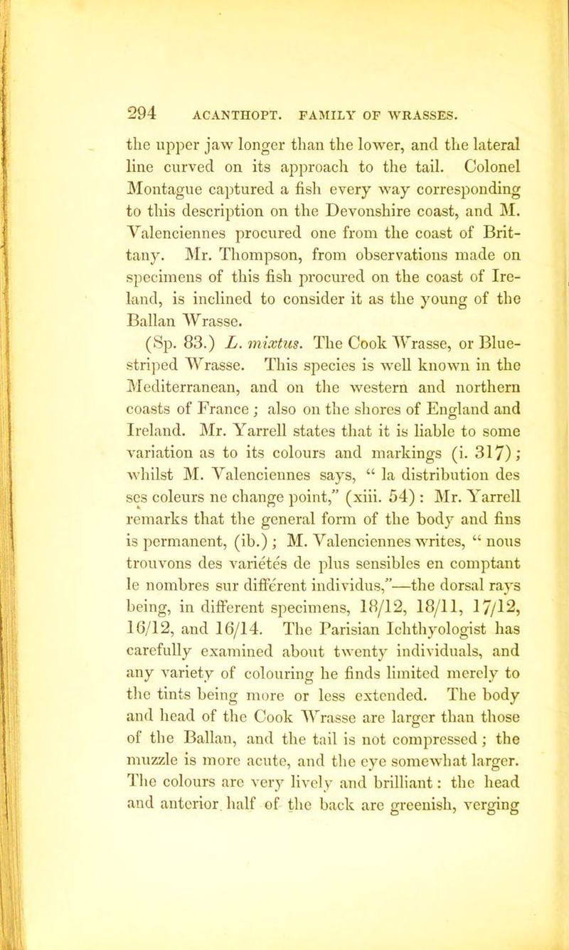 the upper jaw longer than the lower, and the lateral line curved on its approach to the tail. Colonel Montague captured a fish every way corresponding to this description on the Devonshire coast, and M. Valenciennes procured one from the coast of Brit- tany. Mr. Thompson, from observations made on specimens of this fish procured on the coast of Ire- land, is inclined to consider it as the young of the Ballan Wrasse. (Sp. 83.) L. mixtus. The Cook Wrasse, or Blue- striped Wrasse. This species is well known in the Mediterranean, and on the western and northern coasts of France; also on the shores of England and Ireland. Mr. Yarrell states that it is liable to some variation as to its colours and markings (i. 317); whilst M. Valenciennes says, “ la distribution des ses coleurs ne change point,” (xiii. 54) : Mr. Yarrell remarks that the general form of the body and fins is permanent, (ib.) ; M. Valenciennes writes, “ nous trouvons des varietes de plus sensibles en comptant le nombres sur different individus,”—the dorsal rays being, in different specimens, 18/12, 18/11, 17/12, 16/12, and 16/14. The Parisian Ichthyologist has carefully examined about twenty individuals, and any variety of colouring he finds limited merely to the tints being more or less extended. The body and head of the Cook Wrasse are larger than those of the Ballan, and the tail is not compressed; the muzzle is more acute, and the eye somewhat larger. The colours are very lively and brilliant: the head and anterior half of the back are greenish, verging