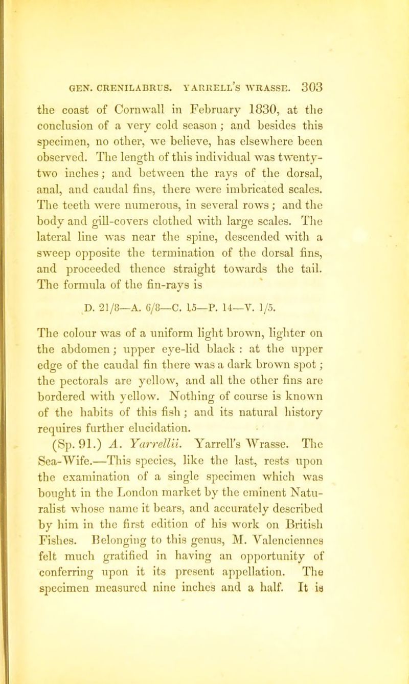 the coast of Cornwall in February 1830, at the conclusion of a very cold season; and besides this specimen, no other, we believe, has elsewhere been observed. The length of this individual was twenty- two inches; and between the rays of the dorsal, anal, and caudal fins, there were imbricated scales. The teeth were numerous, in several rows; and the body and gill-covers clothed with large scales. The lateral line was near the spine, descended with a sweep opposite the termination of the dorsal fins, and proceeded thence straight towards the tail. The formula of the fin-rays is D. 21/8—A. 6/8—C. 15—P. 14—V. 1/5. The colour was of a uniform light brown, lighter on the abdomen; upper eye-lid black : at the upper edge of the caudal fin there was a dark brown spot; the pectorals are yellow, and all the other fins are bordered with yellow. Nothing of course is known of the habits of this fish; and its natural history requires further elucidation. (Sp. 91.) A. Yarrellii. Yarrell’s Wrasse. The Sea-Wife.—This species, like the last, rests upon the examination of a single specimen which was bought in the London market by the eminent Natu- ralist whose name it bears, and accurately described by him in the first edition of his work on British Fishes. Belonging to this genus, M. Valenciennes felt much gratified in having an opportunity of conferring upon it its present appellation. The specimen measured nine inches and a half. It is