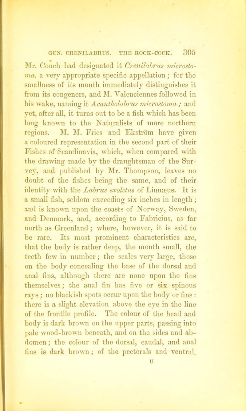 •• Mr. Conch had designated it Crenilabrus microsto- ma, a very appropriate specific appellation; for the smallness of its mouth immediately distinguishes it from its congeners, and M. Valenciennes followed in his wake, naming it Acantholabrus microstoma ; and yet, after all, it turns out to he a fish which has heen long known to the Naturalists of more northern regions. M. M. Fries and Ekstrom have given a coloured representation in the second part of their Fishes of Scandinavia, which, when compared with the drawing made by the draughtsman of the Sur- vey, and published by Mr. Thompson, leaves no doubt of the fishes being the same, and of their identity with the Labrus exolctus of Linnreus. It is a small fish, seldom exceeding six inches in length; and is known upon the coasts of Norway, Sweden, and Denmark, and, according to Fabricius, as far north as Greenland; where, however, it is said to he rare. Its most prominent characteristics are, that the body is rather deep, the mouth small, the teeth few in number; the scales very large, those on the body concealing the base of the dorsal and anal fins, although there are none upon the fins themselves; the anal fin has five or six spinous rays; no blackish spots occur upon the body or fins : there is a slight elevation above the eye in the line of the frontile profile. The colour of the head and body is dark brown on the upper parts, passing into pale wood-brown beneath, and on the sides and ab- domen ; the colour of the dorsal, caudal, and anal fins is dark brown; of the pectorals and ventral. u