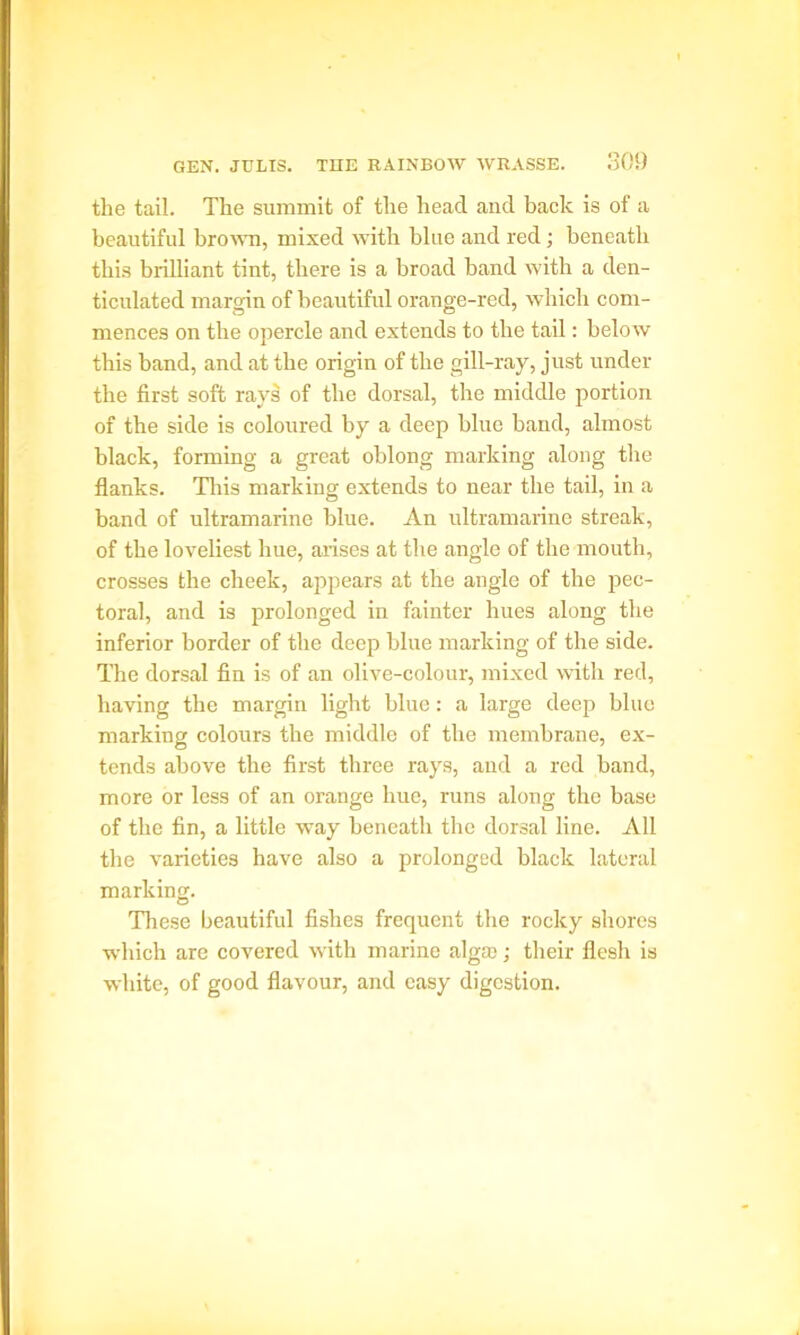 the tail. The summit of the head and back is of a beautiful brown, mixed with blue and red; beneath this brilliant tint, there is a broad band with a den- ticulated margin of beautiful orange-red, which com- mences on the opercle and extends to the tail: below this band, and at the origin of the gill-ray, just under the first soft rays of the dorsal, the middle portion of the side is coloured by a deep blue band, almost black, forming a great oblong marking along the flanks. This marking extends to near the tail, in a band of ultramarine blue. An ultramarine streak, of the loveliest hue, arises at the angle of the mouth, crosses the cheek, appears at the angle of the pec- toral, and is prolonged in fainter hues along the inferior border of the deep blue marking of the side. The dorsal fin is of an olive-colour, mixed with red, having the margin light blue: a large deep blue marking colours the middle of the membrane, ex- tends above the first three rays, and a red band, more or less of an orange hue, runs along the base of the fin, a little way beneath the dorsal line. All the varieties have also a prolonged black lateral marking. These beautiful fishes frequent the rocky shores which are covered with marine algae; their flesh is white, of good flavour, and easy digestion.
