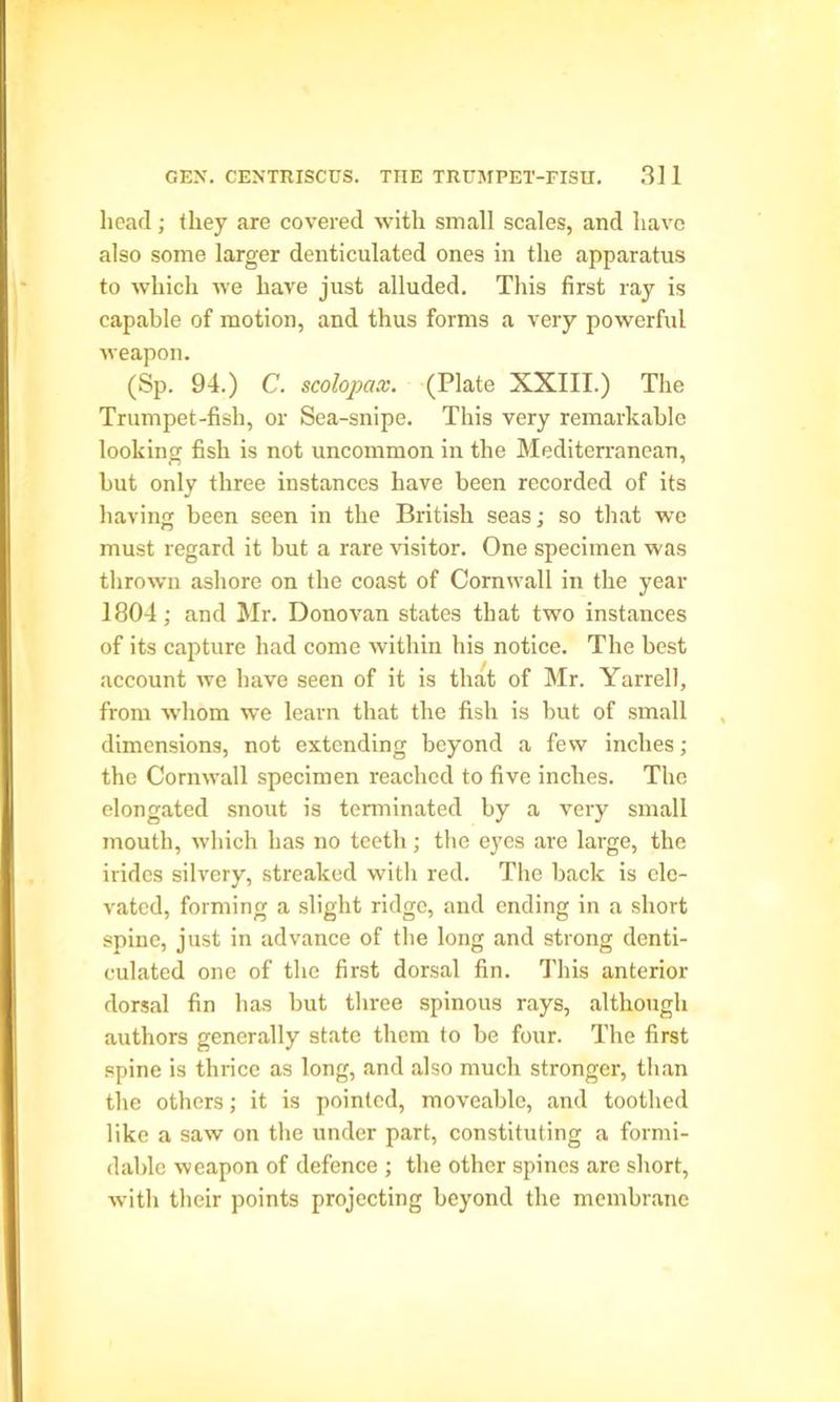 head; they are covered with small scales, and have also some larger denticulated ones in the apparatus to which we have just alluded. This first ray is capable of motion, and thus forms a very powerful weapon. (Sp. 94.) C. scolopax. (Plate XXIII.) The Trumpet-fish, or Sea-snipe. This very remarkable looking fish is not uncommon in the Mediterranean, but only three instances have been recorded of its having been seen in the British seas; so that we must regard it but a rare visitor. One specimen was thrown ashore on the coast of Cornwall in the year 1804; and Mr. Donovan states that two instances of its capture had come within his notice. The best account we have seen of it is that of Mr. Yarrell, from whom we learn that the fish is but of small dimensions, not extending beyond a few inches; the Cornwall specimen reached to five inches. The elongated snout is terminated by a very small mouth, which has no teeth ; the eyes are large, the irides silvery, streaked with red. The back is ele- vated, forming a slight ridge, and ending in a short spine, just in advance of the long and strong denti- culated one of the first dorsal fin. This anterior dorsal fin has but three spinous rays, although authors generally state them to be four. The first spine is thrice as long, and also much stronger, than the others; it is pointed, moveable, and toothed like a saw on the under part, constituting a formi- dable weapon of defence ; the other spines are short, with their points projecting beyond the membrane