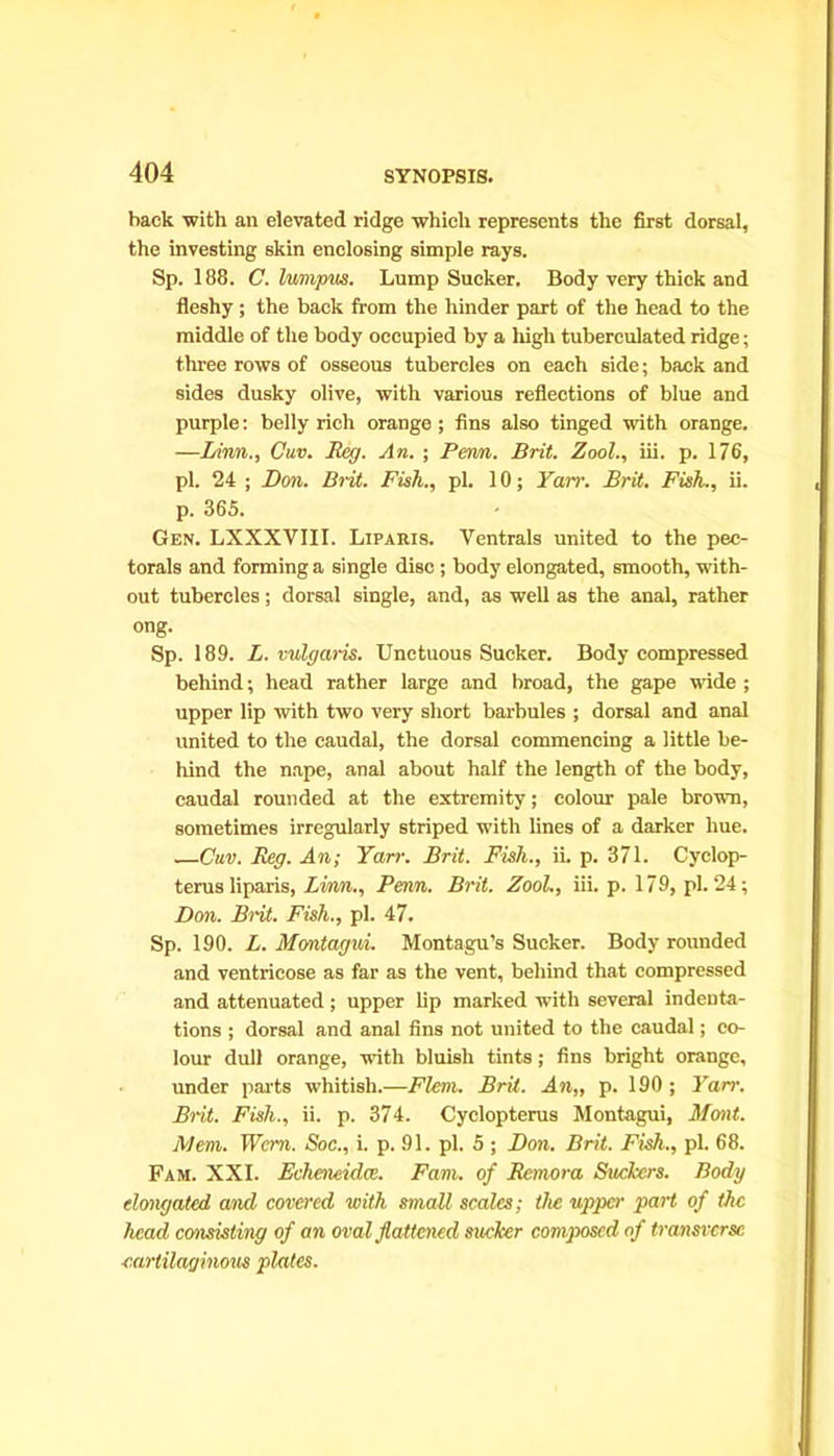 back with an elevated ridge which represents the first dorsal, the investing skin enclosing simple rays. Sp. 188. C. lumpus. Lump Sucker. Body very thick and fleshy; the back from the hinder part of the head to the middle of the body occupied by a high tuberculated ridge; three rows of osseous tubercles on each side; back and sides dusky olive, with various reflections of blue and purple: belly rich orange ; fins also tinged with orange. —Linn., Cuv. Reg. An. ; Perm. Brit. Zool., iii. p. 176, pi. 24 ; Don. Brit. Fish., pi. 10; Yarr. Brit. Fish., ii. p. 365. Gen. LXXXVIII. Liparis. Ventrals united to the pec- torals and forming a single disc ; body elongated, smooth, with- out tubercles; dorsal single, and, as well as the anal, rather ong. Sp. 189. L. vulgaris. Unctuous Sucker. Body compressed behind; head rather large and broad, the gape wide ; upper lip with two very short barbules ; dorsal and anal united to the caudal, the dorsal commencing a little be- hind the nape, anal about half the length of the body, caudal rounded at the extremity; colour pale brown, sometimes irregularly striped with lines of a darker hue. Cuv. Reg. An; Yarr. Brit. Fish., ii. p. 371. Cyclop- terus liparis, Limni., Penn. Brit. Zool., iii. p. 179, pi. 24; Don. Brit. Fish., pi. 47. Sp. 190. L. Montagui. Montagu’s Sucker. Body rounded and ventricose as far as the vent, behind that compressed and attenuated ; upper lip marked with several indenta- tions ; dorsal and anal fins not united to the caudal; co- lour dull orange, with bluish tints; fins bright orange, under parts whitish.—Fleni. Brit. An,, p. 190 ; Yarr. Brit. Fish., ii. p. 374. Cyclopterus Montagui, Mont. Mem. Wcm. Soc., i. p. 91. pi. 5 ; Don. Brit. Fish., pi. 68. Fam. XXI. Echeneidce. Fam. of Remora Suckers. Body elongated and covered with small scales; the upper part of the head consisting of an oval flattened sucker composed of transverse cartilaginous plates.