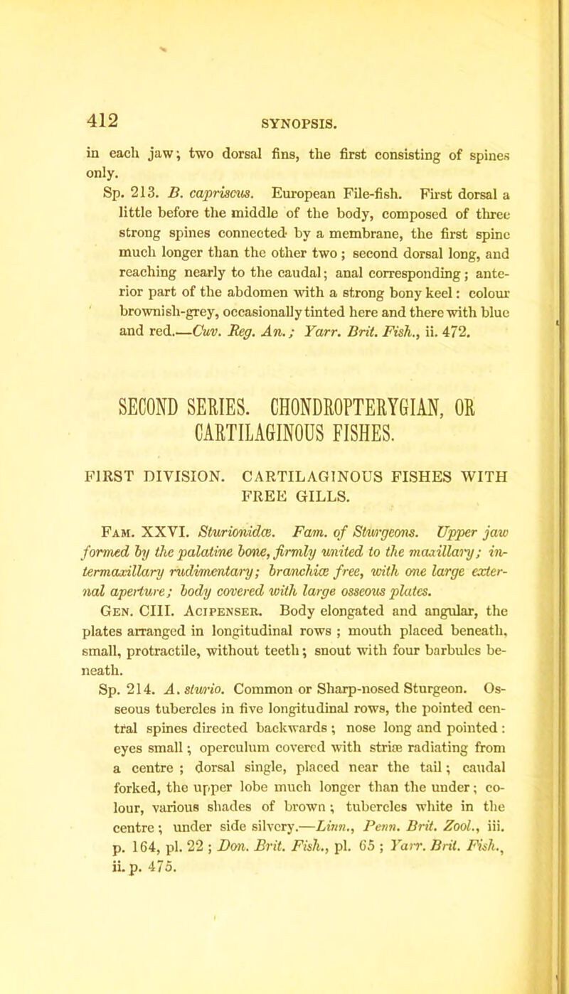 in each jaw; two dorsal fins, the first consisting of spines only. Sp. 213. B. capriscus. European File-fish. First dorsal a little before the middle of the body, composed of three strong spines connected by a membrane, the first spine much longer than the other two; second dorsal long, and reaching nearly to the caudal; anal corresponding; ante- rior part of the abdomen with a strong bony keel: colour brownish-grey, occasionally tinted here and therewith blue and red Cuv. Reg. An.; Yarr. Brit. Fish., ii. 472. SECOND SERIES. CHONDROPTERYGIAN, OR CARTILAGINOUS FISHES. FIRST DIVISION. CARTILAGINOUS FISHES WITH FREE GILLS. Fam. XXVI. Sturionidcs. Fain, of Sturgeons. Upper jaw formed by the palatine bone, firmly united to the maxillai'y; in- termaxillary rudimentary; branchiae free, with one large exter- nal aperture; body covered with large osseous plates. Gen. CIII. Acipenser. Body elongated and angular, the plates arranged in longitudinal rows ; mouth placed beneath, small, protractile, without teeth; snout with four barbules be- neath. Sp. 214. A.stwio. Common or Sharp-nosed Sturgeon. Os- seous tubercles in five longitudinal rows, tlie pointed cen- tral spines directed backwards ; nose long and pointed : eyes small; operculum covered with strisc radiating from a centre ; dorsal single, placed near the tail; caudal forked, the upper lobe much longer than the under; co- lour, various shades of brown; tubercles white in the centre; under side silvery.—Linn., Penn. Brit. Zool., iii. p. 164, pi. 22 ; Bon. Brit. Fish., pi. 65 ; Yair. Brit. Fish., ii. p. 475.