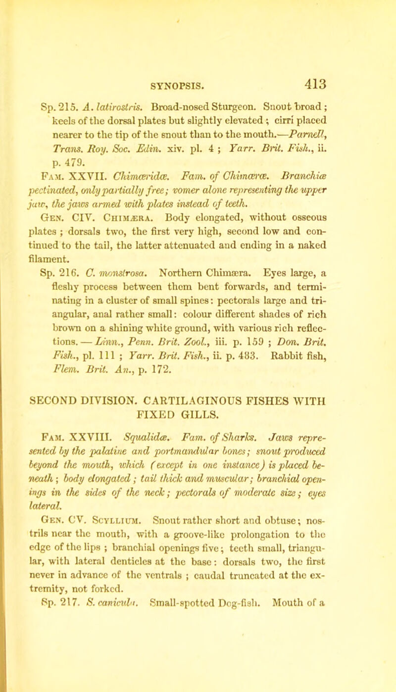 Sp. 215. A. latiroslns. Broad-nosed Sturgeon. Snout broad; keels of the dorsal plates but slightly elevated ; cirri placed nearer to the tip of the snout than to the mouth.—PameU, Trans. Roy. Soc. Edin. xiv. pi. 4 ; Yarr. Brit. Fis/t., ii. p. 479. Pam. XXVII. Chimcei'idce. Earn, of Chimcerce. Branchiee pectinated, only partially free; vomer alone representing the upper jaw, the jaws armed with plates instead of teeth. Gen. CIV. Chimera. Body elongated, without osseous plates ; dorsals two, the first very high, second low and con- tinued to the tail, the latter attenuated and ending in a naked filament. Sp. 216. C. monstrosa. Northern Chimsera. Eyes large, a fleshy process between thorn bent forwards, and termi- nating in a cluster of small spines: pectorals large and tri- angular, anal rather small: colour different shades of rich brown on a shining white ground, with various rich reflec- tions.— Linn., Penn. Brit. Zool., iii. p. 159 ; Don. Brit. Fish., pi. Ill ; Yarr. Brit. Fish., ii. p. 483. Rabbit fish, Flem. Brit. An., p. 172. SECOND DIVISION. CARTILAGINOUS FISHES WITH FIXED GILLS. Fam. XXVIII. Squalidce. Fam. of Sharks. Jaws repre- sented by the palatine and portmandulur bones; snout produced beyond the mouth, which (except in one instance) is placed be- neath ; body elongated; tad. thick and muscular; branchial open- ings in the sides of the neck; pectorals of moderate size; eyes lateral. Gen. CV. Scyllium. Snout rather short and obtuse; nos- trils near the mouth, with a groove-like prolongation to the edge of the lips ; branchial openings five; teeth small, triangu- lar, with lateral denticles at the base: dorsals two, the first never in advance of the ventrals ; caudal truncated at the ex- tremity, not forked. Sp. 217. S. canicula. Small-spotted Dog-fish. Mouth of a