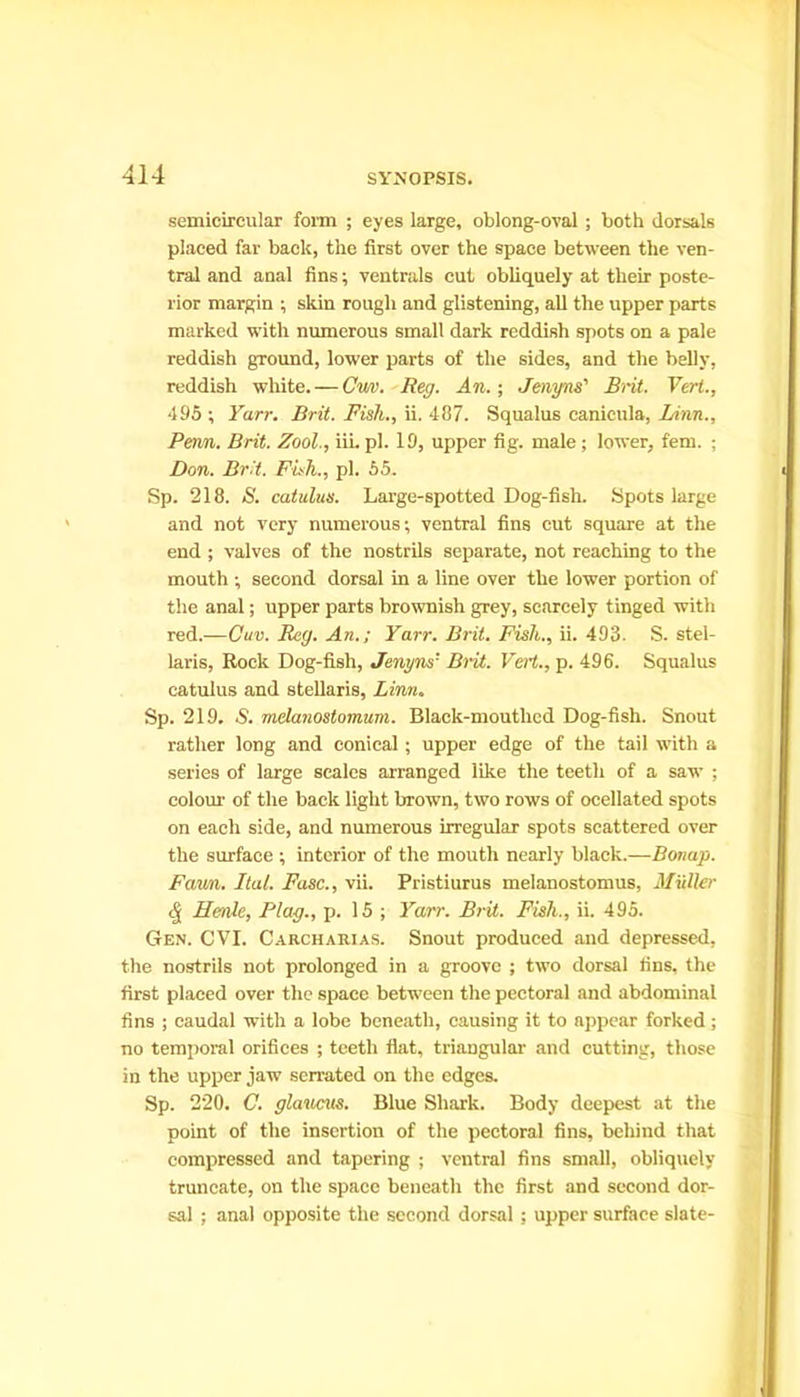 semicircular form ; eyes large, oblong-oval ; both dorsals placed far back, the first over the space between the ven- tral and anal fins; ventrals cut obliquely at their poste- rior margin ; skin rough and glistening, all the upper parts marked with numerous small dark reddish spots on a pale reddish ground, lower parts of the sides, and the belly, reddish white. — Cm. Reg. An.-, Jenyns' Brit. Vert., 495 ; Yarr. Brit. Fish., ii. 487. Squalus canicula, Linn., Perm. Brit. Zool., iii. pi. 19, upper fig. male ; lower, fem. : Don. Brit. Fish., pi. 55. Sp. 218. S. catulus. Large-spotted Dog-fish. Spots large and not very numerous; ventral fins cut square at the end ; valves of the nostrils separate, not reaching to the mouth ; second dorsal in a line over the lower portion of the anal; upper parts brownish grey, scarcely tinged with red.—Cuv. Reg. An.; Yarr. Brit. Fish., ii. 493. S. stel- laris, Rock Dog-fish, Jenyns5 Brit. Vert., p. 496. Squalus catulus and stellaris, Linn. Sp. 219. & melanostomum. Black-mouthed Dog-fish. Snout rather long and conical; upper edge of the tail with a series of large scales arranged like the teeth of a saw ; colour of the back light brown, two rows of ocellated spots on each side, and numerous irregular spots scattered over the surface ; interior of the mouth nearly black.—Bonup. Favn. Ital. Fuse., vii. Pristiurus melanostomus, Muller <$ Henle, Flag., p. 15 ; Yarr. Brit. Fish., ii. 495. Gen. CVI. Carcharias. Snout produced and depressed, the nostrils not prolonged in a groove ; two dorsal fins, the first placed over the space between the pectoral and abdominal fins ; caudal with a lobe beneath, causing it to appear forked; no temporal orifices ; teeth flat, triangular and cutting, those in the upper jaw serrated on the edges. Sp. 220. C. glaucus. Blue Shark. Body deepest at the point of the insertion of the pectoral fins, behind that compressed and tapering ; ventral fins small, obliquely truncate, on the space beneath the first and second dor- sal ; anal opposite the second dorsal ; upper surface slate-