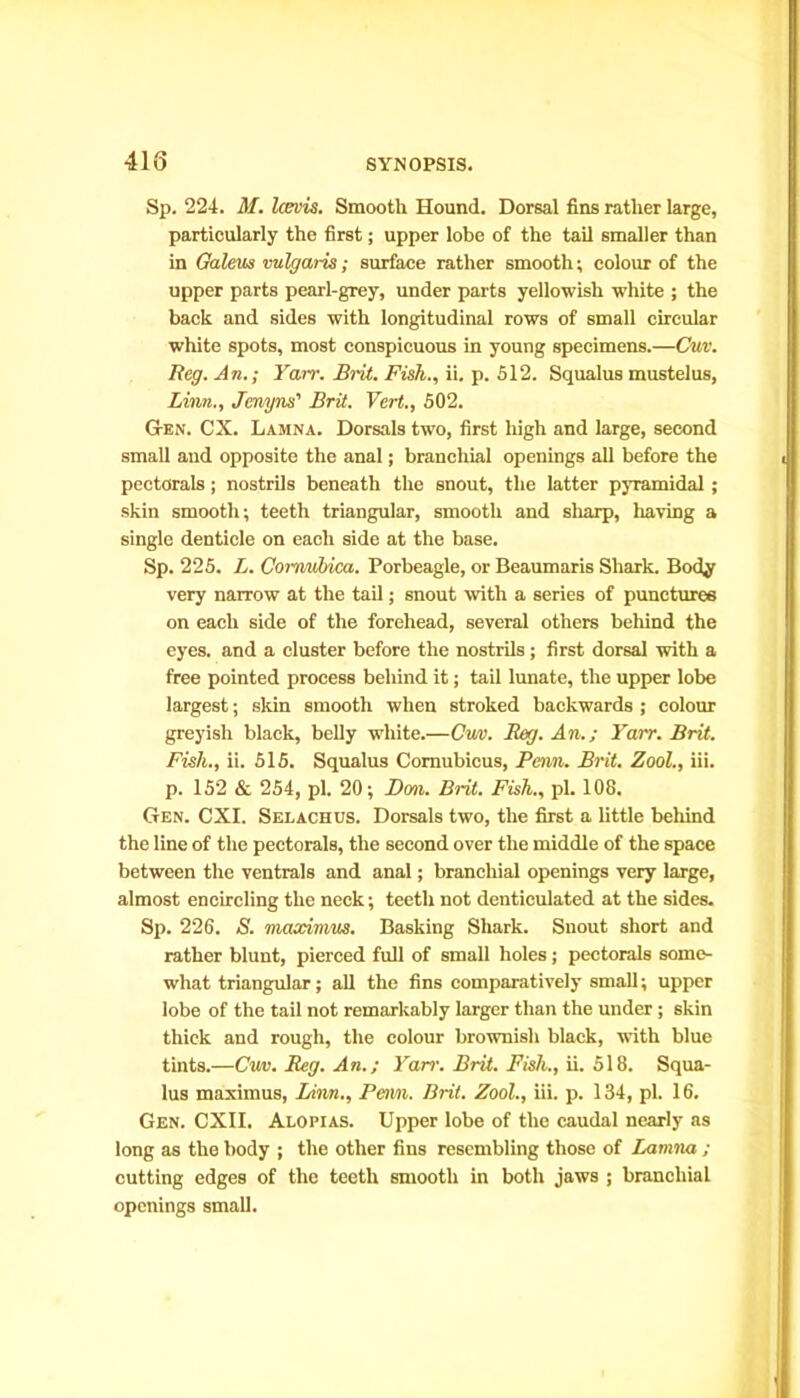 418 Sp. 224. M. Itevis. Smooth Hound. Dorsal fins rather large, particularly the first; upper lobe of the tail smaller than in Galeus vulgaris; surface rather smooth; colour of the upper parts pearl-grey, under parts yellowish white ; the back and sides with longitudinal rows of small circular white spots, most conspicuous in young specimens.—Cuv. Reg. An.; Yarr. Brit. Fish., ii. p. 512. Squalus mustelus, Linn., Jcnyns' Brit. Vert., 502. Gen. CX. Lamna. Dorsals two, first high and large, second small and opposite the anal; branchial openings all before the pectorals ; nostrils beneath the snout, the latter pyramidal ; skin smooth; teeth triangular, smooth and sharp, having a single denticle on each side at the base. Sp. 225. L. Cornubica. Porbeagle, or Beaumaris Shark. Body very narrow at the tail; snout with a series of punctures on each side of the forehead, several others behind the eyes, and a cluster before the nostrils; first dorsal with a free pointed process behind it; tail lunate, the upper lobe largest; skin smooth when stroked backwards ; colour greyish black, belly white.—Cm. Beg. An.; Yarr. Brit. Fish., ii. 515. Squalus Comubieus, Perm. Brit. Zool., iii. p. 152 & 254, pi. 20; Dm. Brit. Fish., pi. 108. Gen. CXI. Selachus. Dorsals two, the first a little behind the line of the pectorals, the second over the middle of the space between the ventrals and anal; branchial openings very large, almost encircling the neck; teeth not denticulated at the sides. Sp. 226. S. maximus. Basking Shark. Snout short and rather blunt, pierced full of small holes; pectorals some- what triangular; all the fins comparatively small; upper lobe of the tail not remarkably larger than the under; skin thick and rough, the colour brownish black, with blue tints.—Cum. Beg. An.; Yan; Brit. Fish., ii. 518. Squa- lus maximus, Linn., Perm. Brit. Zool., iii. p. 134, pi. 16. Gen. CXII. Alopias. Upper lobe of the caudal nearly as long as the body ; the other fins resembling those of Lamna ; cutting edges of the teeth smooth in both jaws ; branchial openings small.