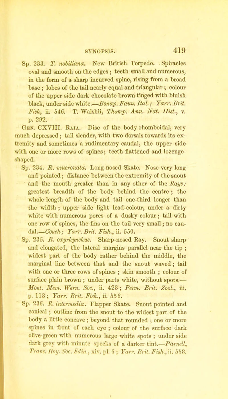 Sp. 233. T. nobiliana. New British Torpedo. Spiracles oval and smooth on the edges ; teeth small and numerous, in the form of a sharp incurved spine, rising from a broad base; lobes of the tail nearly equal and triangular; colour of the upper side dark chocolate brown tinged with bluish black, under side white.—Bonap. Faun. Ital.; Tarr. Brit. Fish, ii. 546. T. Walshii, Thomp. Ann. Nat. Hist., v. p. 292. Ge>\ CXVIII. Raia. Disc of the body rhomboidal, very much depressed; tail slender, with two dorsals towards its ex- tremity and sometimes a rudimentary caudal, the upper side with one or more rows of spines; teeth flattened and lozenge- shaped. Sp. 234. R. mucronata. Long-nosed Skate. Nose very long and pointed; distance between the extremity of the snout and the mouth greater than in any other of the Rays; greatest breadth of the body behind the centre ; the whole length of the body and tail one-third longer than the width ; upper side light lead-colour, under a dirty white with numerous pores of a dusky colour; tail with one row of spines, the fins on the tail very small; no cau- dal.—Couch; Yarr. Brit. Fish., ii. 550. Sp. 235. R. oxyrhynchus. Sharp-nosed Ray. Snout sharp and elongated, the lateral margins parallel near the tip ; widest part of the body rather behind the middle, the marginal line between that and the snout waved; tail with one or three rows of spines ; skin smooth ; colour of surface plain brown ; under parts white, without spots.— Mont. Mem. Wern. Soc., ii. 423; Penn. Brit. Zool., iii. p. 113 ; Yarr. Brit. Fish., ii. 556. Sp. 236. R. intermedia. Flapper Skate. Snout pointed and conical ; outline from the snout to the widest part of the body a little concave ; beyond that rounded ; one or more spines in front of each eye ; colour of the surface dark olive-green with numerous large white spots ; under side dark grey with minute specks of a darker tint.—Parnell, Trans. Roy. Soc. Edin., xiv. pi. 6 ; Yarr. Brit. Fish,, ii. 553.