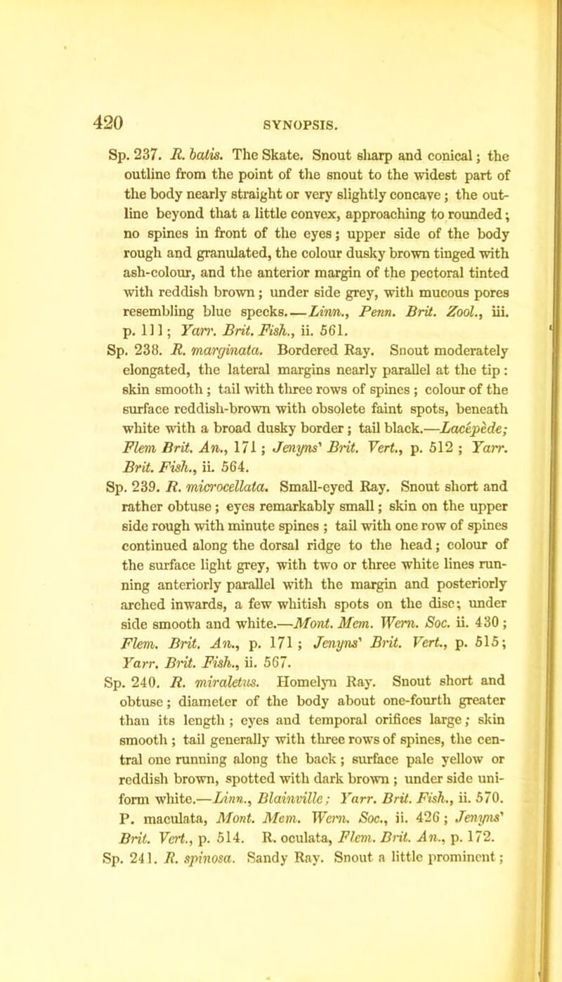 Sp. 237. R. balls. The Skate. Snout sharp and conical; the outline from the point of the snout to the widest part of the body nearly straight or very slightly concave; the out- line beyond that a little convex, approaching to rounded; no spines in front of the eyes; upper side of the body rough and granulated, the colour dusky brown tinged with ash-colour, and the anterior margin of the pectoral tinted with reddish brown; under side grey, with mucous pores resembling blue specks.—Linn., Penn. Bril. Zool., iii. p. Ill; Yarr. Brit. Fish., ii. 561. Sp. 238. R. marginata. Bordered Bay. Snout moderately elongated, the lateral margins nearly parallel at the tip : skin smooth; tail with three rows of spines ; colour of the surface reddish-brown with obsolete faint spots, beneath white with a broad dusky border; tail black.—LactpMe; Flem Brit. An., 171; Jenyns' Brit. Vert., p. 512 ; Yarr. Brit. Fish., ii. 564. Sp. 239. B. microcellata. Small-eyed Bay. Snout short and rather obtuse; eyes remarkably small; skin on the upper side rough with minute spines ; tail with one row of spines continued along the dorsal ridge to the head; colour of the surface light grey, with two or three white lines run- ning anteriorly parallel with the margin and posteriorly arched inwards, a few whitish spots on the disc; under side smooth and white.—Mont. Mem.. Wem. Soc. ii. 430 ; Flem. Brit. An., p. 171; Jenyns' Brit. Vert., p. 515; Yarr. Brit. Fish., ii. 567. Sp. 240. R. miraletus. Homelyn Bay. Snout short and obtuse; diameter of the body about one-fourth greater than its length ; eyes and temporal orifices large; skin smooth ; tail generally with three rows of spines, the cen- tral one running along the back; surface pale yellow or reddish brown, spotted with dark brown ; under side uni- form white.—Linn., Blamville : Yarr. Brit. Fish., ii. 570. P. maculata, Mont. Mem. Wem. Soc., ii. 426; Jenyns' Brit. Vert., p. 514. B. oculata, Flem. Brit. An., p. 172. Sp. 241. It. spinosa. Sandy Bay. Snout a little prominent;