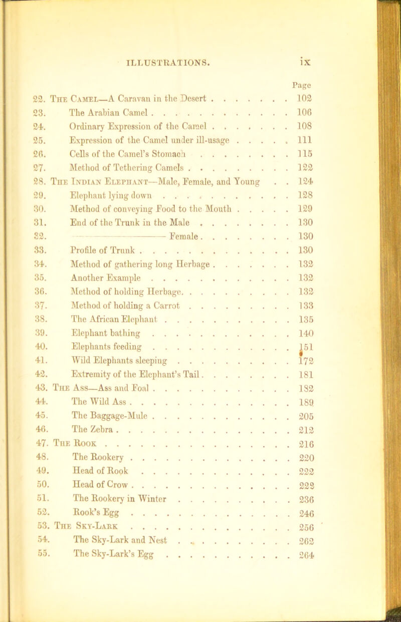 22. The Camel—A Caravan in the Desert 23. The Arabian Camel 24. Ordinary Expression of the Camel 25. Expression of the Camel under ill-usage . . . 26. Cells of the Camel’s Stomaoii 27- Method of Tethering Camels 28. The Indian Elephant—Male, Female, and Young 29. Elephant lying' down 30. Method of conveying Food to the Mouth . . . 31. End of the Trunk in the Male 32. Female 33. Profile of Trunk 34. Method of gathering long Herbage 35. Another Example 36. Method of holding Herbage 37. Method of holding a Carrot 38. The African Elephant 39. Elephant bathing 40. Elephants feeding 41. Wild Elephants sleeping 42. Extremity of the Elephant’s Tail 43. The Ass—Ass and Foal 44. The Wild Ass 45. The Baggage-Mule 46. The Zebra 47. The Rook 48. The Rookery 49. Head of Rook 50. Head of Crow 51. The Rookery in Winter 52. Rook’s Egg 53. The Sky-Laek 54. The Sky-Lark and Nest . The Sky-Lark’s Egg Page 102 106 108 111 . . 115 . . 122 . . 124 . . 128 . . 129 . . 130 . . 130 . . 130 . . 132 . . 132 . . 132 . . 133 . . 135 . . 140 . J51 . . 172 . . 181 . . 182 . . 189 205 212 216 220 222 222 236 246 256 262 264 oo.