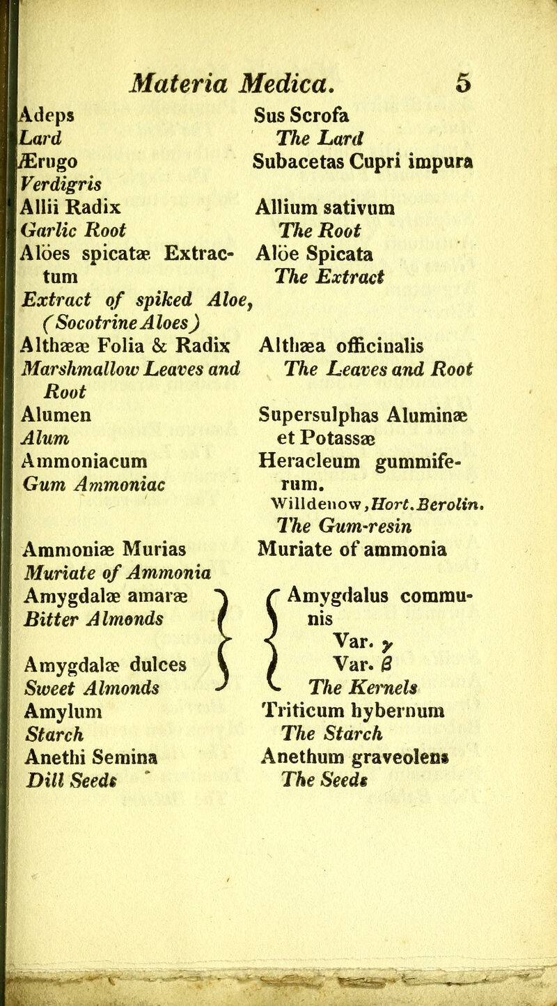 Adeps Lard ^Erngo Verdigris Allii Radix Garlic Root Aloes spicatap. Extrac- tum Extract of spiked Aloe, ( Socotrine Aloes) AlthaBae Folia & Radix Marshmallow Leaves and Root Alumen Alum Ammoniacum Gum Ammoniac Sus Scrofa The Lard Subacetas Cupri impura Allium sativum The Root Aloe Spicata The Extract Ammoniae Murias Muriate of Ammonia Amygdalae amarae Bitter Almonds Amygdalae dulces Sweet Almonds Amylum Starch Anethi Semina Dill Seeds Althaea officinalis The Leaves and Root Supersulphas Aluminas et Potassae Heracleum gummife- rum. Wi II den o w, Hbri. J3eroWn. The Gum-resin Muriate of ammonia n Amygdalus commu- nis Var. y Var. 0 The Kernels Triticum hybernum The Starch Anethum graveolens The Seeds