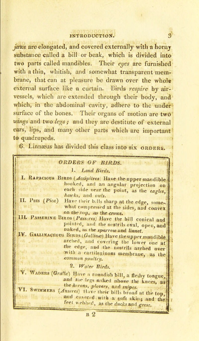 I introduction; 3 jatos are elongated, and covered externally with a horny substance called a bill or beak, which is divided into two parts called mandibles. Their eyes are furnished with a thin, whitish, and somewhat transparent mem- brane, that can at pleasure be drawn over the whole external surface like a curtain. Birds respire by air- vessels, which are extended through their body, and which, in the abdominal cavity, adhere to the under surface of the bones. Their organs of motion are twO wings and two legs ; and they are destitute of external ears, lips, and many other parts which are important to quadrupeds. 6. Linnaeus' has divided this class into six orders. ORDERS OF BIRDS. 4 1. Land Birds. I. Rapacious Birds {Acdpilr-ts Have (he upper mandible hooked, and an angular projection on each side near the point, as the eagles, hatrks, and owls. II. Pies (Pica.) Have tlieir bills sharp at the edge, somen what compressed at the sides, and convex on tin* top, as the craies. III. Passerine Biros {Passcres) Have the bill conical and pointed, and the nestrils oval, open, and naked, as the sparrow and linnet. IV. Gallinaceous Biros (GaUina) Have the upper mandible arched, and covering the lower one at the edaje, ami the nostrils arched over with a cartilaginous membrane, as the common poultry. 2. Water Birds. V. Waders (Qrallce) Have a roundish bill, a flesjiy tongue, and fifje Ipge n iked above the knees, as ,,T ' the fo i'ons, plovers, and snipes. VI. Swimmers [Anseves) Have .heir bills broad at the top and coven d with a soft skin^ and the feet w ebbed, as the ducks &iu\ geese.