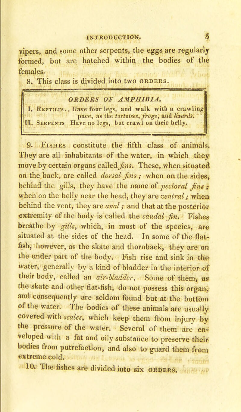 vipers, and some other serpents, the eggs are regularly formed, but are hatched within the bodies of the females. 8. This class is divided into two orders. ORDERS OF AMPHIBIA. I. Reptiles . . Have four legs, and walk with a crawling pace, as the tortoises, frogs, and lizards. II. Serpents Have no legs, but crawl on their belly. 9. Fishes constitute the fifth class of animals They are all inhabitants of the water, in which they move by certain organs called Jins. These, when situated on the back, are called dorsal fins ; when on the sides, behind the gills, they have the name of pectoral fins ; when on the belly near the head, they are ventral; when behind the vent, they are anal; and that at the posterior extremity of the body is called the caudal fin. Fishes breathe by gills, which, in most of the species, are situated at the sides of the head. In some of the flat- fish, however, as the skate and thornback, they are on the under part of the body. Fish rise and sink in the water, generally by a kind of bladder in the interior of their body, called an air-bladder. Some of them, as the skate and other flat-fish, do not possess this organ, and consequently are seldom found but at the bottom of the water. The bodies of these animals are usually covered with scales, which keep them from injury by the pressure of the water. Several of them are en- veloped with a fat and oily substance to preserve their bodies from putrefaction, and also to guard them from extreme cold. 10. The fishes are divided into six orders.