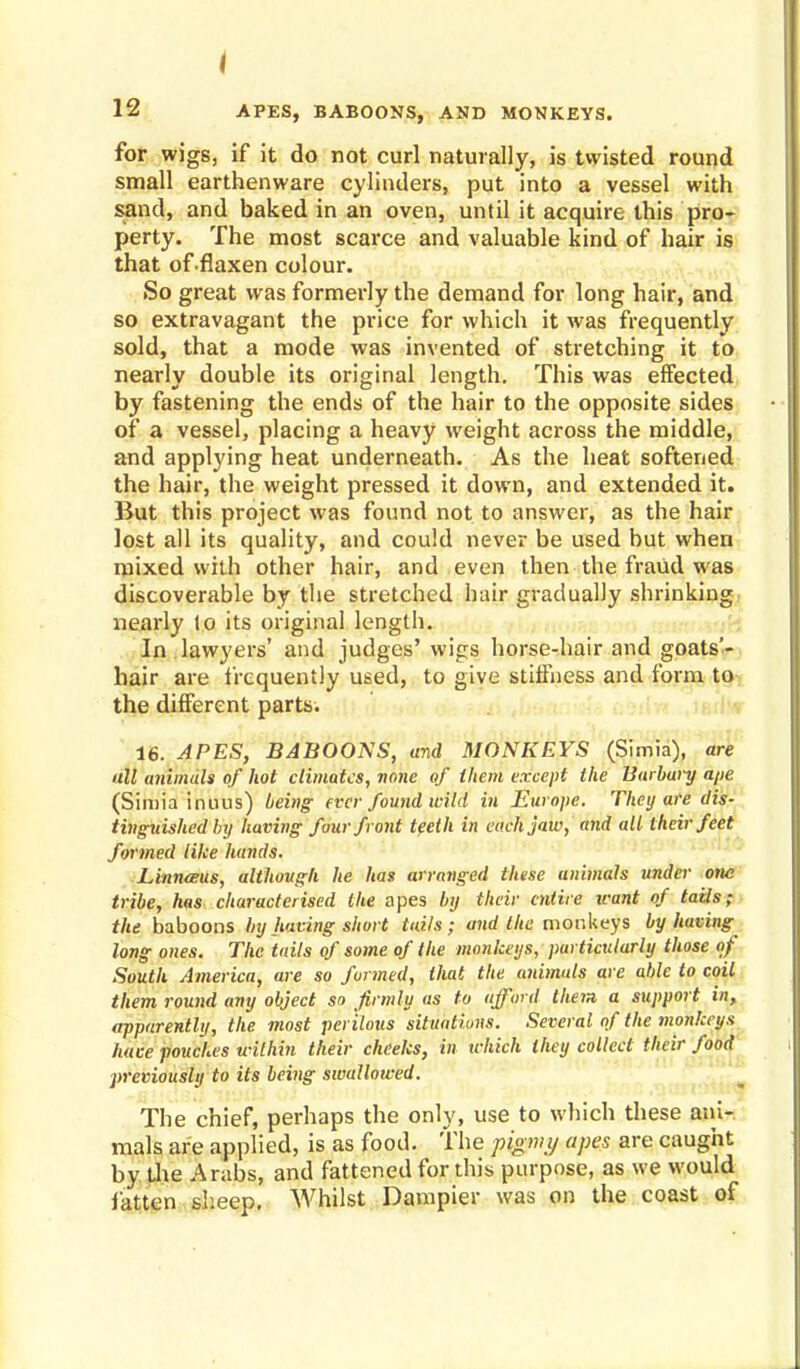 for wigs, if it do not curl naturally, is twisted round small earthenware cylinders, put into a vessel with sand, and baked in an oven, until it acquire this pro- perty. The most scarce and valuable kind of hair is that of flaxen colour. So great was formerly the demand for long hair, and so extravagant the price for which it was frequently sold, that a mode was invented of stretching it to nearly double its original length. This was effected by fastening the ends of the hair to the opposite sides of a vessel, placing a heavy weight across the middle, and applying heat underneath. As the heat softened the hair, the weight pressed it down, and extended it. But this project was found not to answer, as the hair lost all its quality, and could never be used but when mixed with other hair, and even then the fraud was discoverable by the stretched hair gradually shrinking nearly to its original length. In lawyers' and judges' wigs horse-hair and goats'- bair are frequently used, to give stiffness and form to the different parts. 16. APES, BABOONS, and MONKEYS (Simia), are all animals of hot climates, none of them except the Barbury ape (Simia hums) being ever found wild in Europe. They are dis- tinguished by having four front teeth in each jaw, and all their feet formed like hands. Linneeus, although he has arranged these animals under one tribe, has characterised the apes by their entire want of tails; the baboons by having short tails; and the monkeys by having long ones. The tails of some of the monkeys, particularly those of South America, are so formed, that the animals are able to coil them round any object so firmly as to afford them a support in, apparently, the most perilous situations. Several of the inohkeus have pouches within their cheeks, in which they colled their food previously to its being swallowed. The chief, perhaps the only, use to which these ani- mals are applied, is as food, the pigmy apes are caught by the Arabs, and fattened for this purpose, as we would fatten sheep. Whilst Dampier was on the coast of