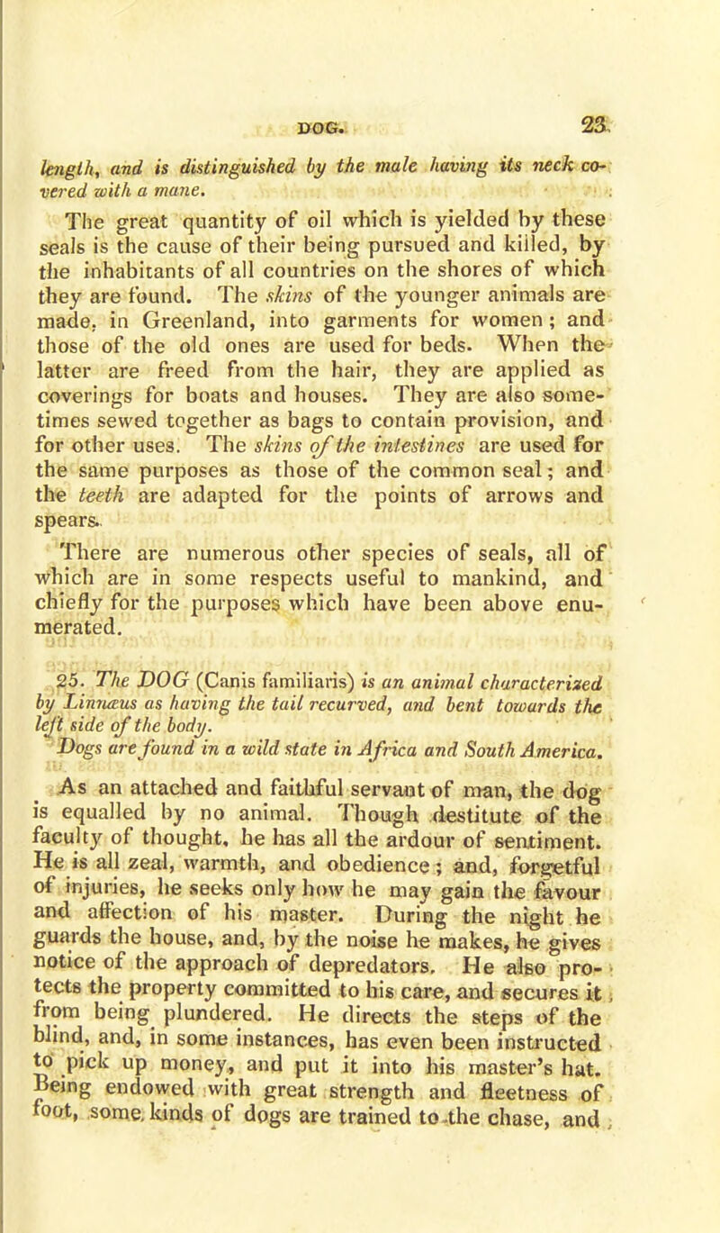 length, and is distinguished by the male having its neck co- vered with a mane. The great quantity of oil which is yielded hy these seals is the cause of their being pursued and kiiled, by the inhabitants of all countries on the shores of which they are found. The skins of the younger animals are made, in Greenland, into garments for women; and those of the old ones are used for beds. When the latter are freed from the hair, they are applied as coverings for boats and houses. They are also some- times sewed together as bags to contain provision, and for other uses. The skins of the intestines are used for the same purposes as those of the common seal; and the teeth are adapted for the points of arrows and spears.. There are numerous other species of seals, all of which are in some respects useful to mankind, and chiefly for the purposes which have been above enu- merated. 25. The DOG (Canis familiaris) is an animal characterized by Linnaus as having the tail recurved, and bent towards the left side of the body. Dogs are found in a wild state in Africa and South America. _ As an attached and faithful servant of man, the dog is equalled by no animal. Though destitute of the faculty of thought, he has all the ardour of sentiment. He is all zeal, warmth, and obedience; and, forgetful of injuries, he seeks only how he may gain the favour and affection of his master. During the night he guards the house, and, by the noise he makes, he gives notice of the approach of depredators. He also pro- tects the property committed to his care, and secures it, from being plundered. He directs the steps of the blind, and, in some instances, has even been instructed to pick up money, and put it into his master's hat. Being endowed with great strength and fleetness of toot, some, kinds of dogs are trained to-the chase, and