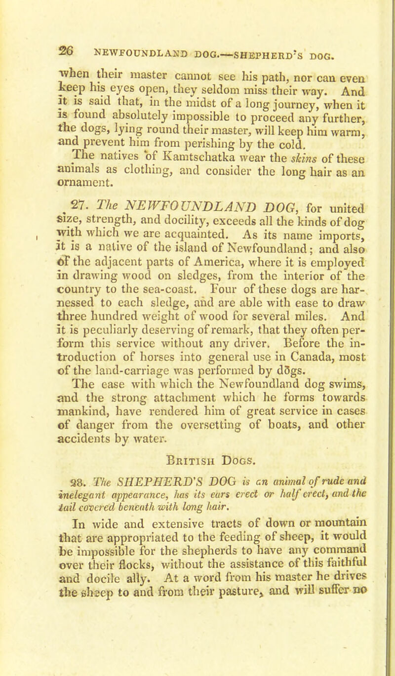 when their master cannot see his path, nor can even keep his eyes open, they seldom miss their way. And it is said that, in the midst of a long journey, when it is found absolutely impossible to proceed any further, the dogs, lying round their master, will keep him warm, and prevent him from perishing by the cold. The natives of Kamtschatka wear the skins of these animals as clothing, and consider the long hair as an ornament. 27. The NEWFOUNDLAND DOG, for united Size, strength, and docility, exceeds all the kinds of dog with which we are acquainted. As its name imports, it is a native of the island of Newfoundland; and also of the adjacent parts of America, where it is employed in drawing wood on sledges, from the interior of the country to the sea-coast. Four of these dogs are har- nessed to each sledge, and are able with ease to draw three hundred weight of wood for several miles. And it is peculiarly deserving of remark, that they often per- form this service without any driver. Before the in- troduction of horses into general use in Canada, most of the land-carriage was performed by dogs. The ease with which the Newfoundland dog swims, and the strong attachment which he forms towards mankind, have rendered him of great service in cases of danger from the oversetting of boats, and other accidents by water. British Dogs. 28. The SHEPHERD'S DOG is an animal of rude and inelegant appearance, has its ears erect or hay erect, and the tail covered beneath with long hair. In wide and extensive tracts of down or mountain that are appropriated to the feeding of sheep, it would be impossible for the shepherds to have any command over their flocks, without the assistance of this faithful and docile ally. At a word from his master he drives the ehsep to and from their pasture, and will suffer no
