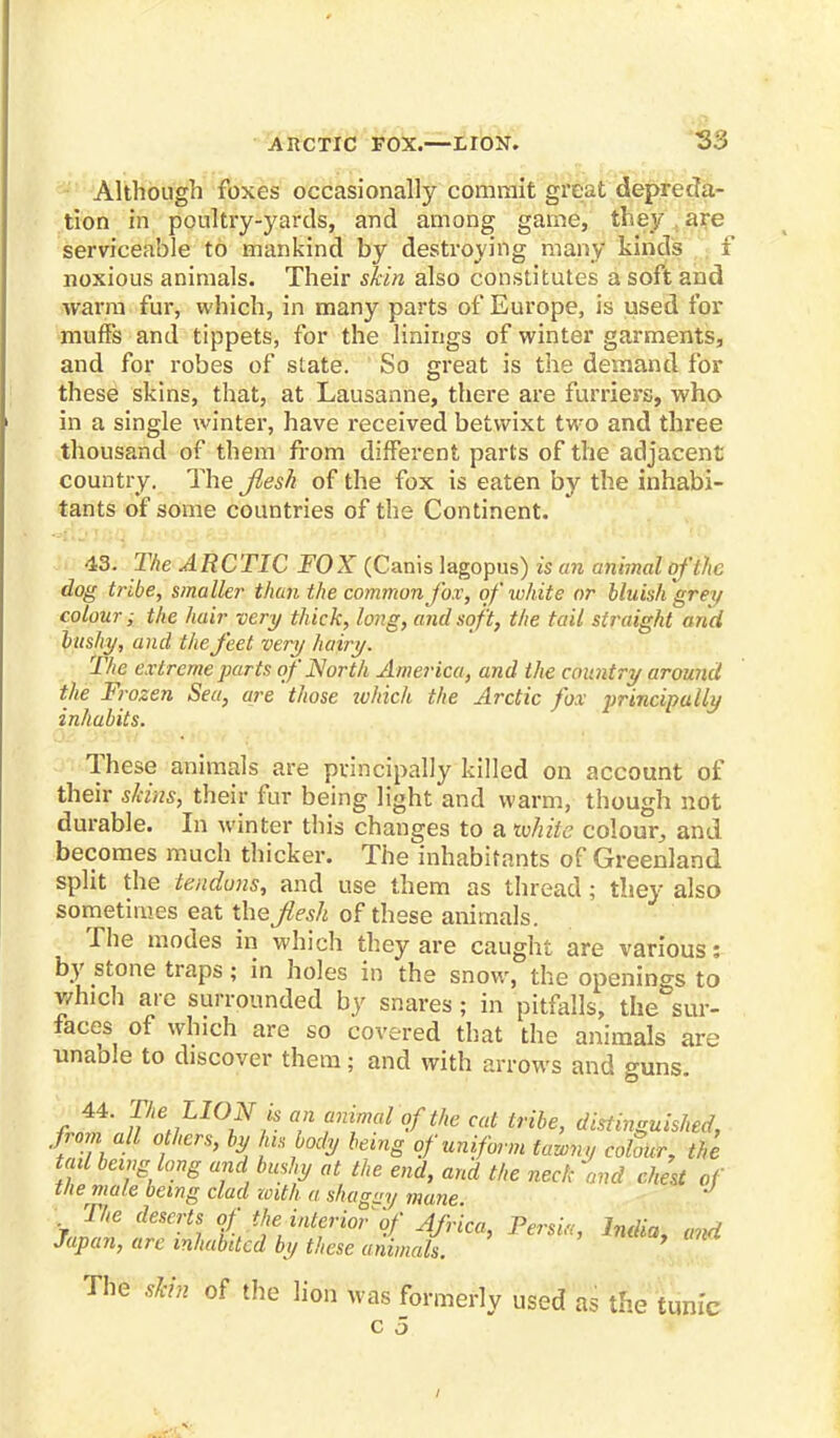 Although foxes occasionally commit great depreda- tion in poultry-yards, and among game, they , are serviceable to mankind by destroying many kinds f noxious animals. Their skin also constitutes a soft and warm fur, which, in many parts of Europe, is used for muffs and tippets, for the linings of winter garments, and for robes of state. So great is the demand for these skins, that, at Lausanne, there are furriers, who in a single winter, have received betwixt two and three thousand of them from different parts of the adjacent country. The Jiesh of the fox is eaten by the inhabi- tants of some countries of the Continent. 43. The ARCTIC FOX (Canis lagopus) is an animal of the dog tnbe, smaller than the common fox, of white or bluish'grey colour; the hair very thick, long, and soft, the tail straight arid bushy, and the feet very hairy. The extreme parts of North America, and the country around the Frozen Sea, are those ivhich the Arctic fox principally inhabits. These animals are principally killed on account of their skins, their fur being light and warm, though not durable. In winter this changes to a ibhite colour, and becomes much thicker. The inhabitants of Greenland split the tendons, and use them as thread ; they also sometimes eat the Jiesh of these animals. The modes in which they are caught are various: by stone traps; in holes in the snow, the openings to which are surrounded by snares; in pitfalls, the sur- faces of which are so covered that the animals are unable to discover them; and with arrows and guns. f?4' n'16^10?!8 T niimal °ftte cat tribe, distinguished, from all others, by his body being of uniform tawny colour, the tail being long and bushy at the end, and the neck and chest of the male being clad with a shagey mane The deserts of the interior-of Africa, Persia, India, and Japan, arc inhabited by these animals. ' The skin of the lion was formerly used as the tunic c 5