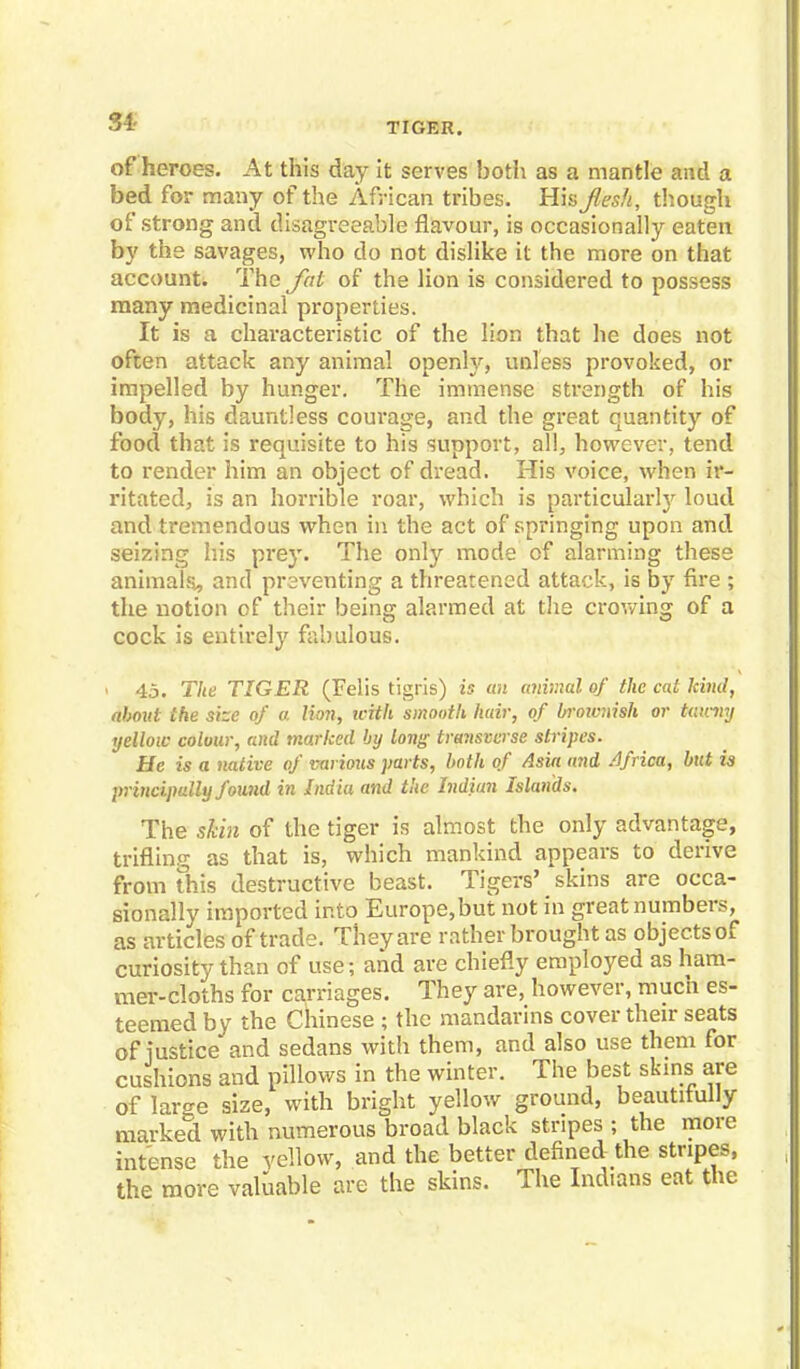 SI- TIGER. of heroes. At this day it serves both as a mantle and a bed for many of the African tribes. His Jiesh, though of strong and disagreeable flavour, is occasionally eaten by the savages, who do not dislike it the more on that account. The fat of the lion is considered to possess many medicinal properties. It is a characteristic of the lion that he does not often attack any animal openly, unless provoked, or impelled by hunger. The immense strength of his body, his dauntless courage, and the great quantity of food that is requisite to his support, all, however, tend to render him an object of dread. His voice, when ir- ritated, is an horrible roar, which is particularly loud and tremendous when in the act of springing upon and seizing his prey. The only mode of alarming these animals,, and preventing a threatened attack, is by fire ; the notion of their being alarmed at the crowing of a cock is entirely fabulous. i 45. The TIGER (Felis tigris) is an animal of the cat kind, about the size of a lion, icith smooth hair, of brorvnish or tawny yellow colour, and marked by long traiisverse stripes. He is a native of various parts, both of Asia u7id Africa, but is principally found in India and the Indian Islands. The shin of the tiger is almost the only advantage, trifling as that is, which mankind appears to derive from this destructive beast. Tigers' skins are occa- sionally imported into Europe,but not in great numbers, as articles of trade. They are rather brought as objects of curiosity than of use; and are chiefly employed as ham- mer-cloths for carriages. They are, however, much es- teemed by the Chinese ; the mandarins cover their seats of justice and sedans with them, and also use them for cushions and pillows in the winter. The best skins are of large size, with bright yellow ground, beautifully marked with numerous broad black stripes ; the more intense the yellow, and the better defined the stripes, the more valuable are the skins. The Indians eat the