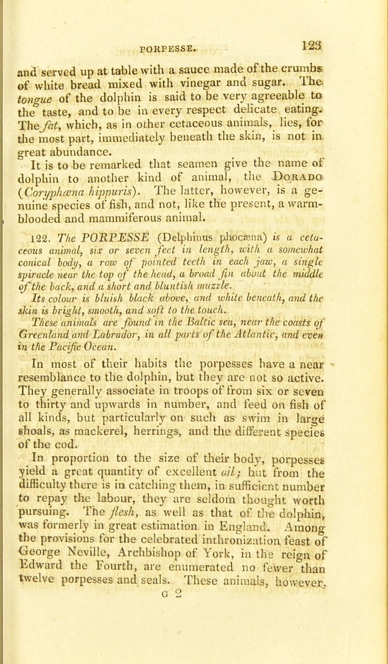 P0RPESSE. and served up at table with a sauce made of the crumbs, of white bread mixed with vinegar and sugar. The tongue of the dolphin is said to be very agreeable to theto taste, and to be in every respect delicate eating. The/at, which, as in other cetaceous animals, lies, for the most part, immediately beneath the skin, is not in great abundance. It is to be remarked that seamen give the name of dolphin to another kind of animal, the Dorado {Coryphcena hippuris). The latter, however, is a ge- nuine species offish, and not, like the present, a warm- blooded and mammiferous animal. 122. The PQRPESSE (Delphinus phocsna) is a ceta- ceous animal, six or seven feet in length, with a somewhat conical body, a row of pointed teeth in each jaw, a smgle spiracle near the top of the head, a broad fin about the middle of the back, and a short and bluntish muzzle. Its colour is bluish black above, and white beneath, and the skin is bright, smooth, and soft to the touch. These animals are found in the Baltic sea, near the coasts of Greenland and Labrador, in all pares of the Atlantic, and even in the Pacific Ocean. In most of their habits the porpesses have a near resemblance to the dolphin, but they are not so active. They generally associate in troops of from six or seven to thirty and upwards in number, and feed on fish of all kinds, but particularly on such as swim in large shoals, as mackerel, herrings, and the different species of the cod. In proportion to the size of their body, porpesses yield a great quantity of excellent ail; but from the difficulty there is in catching them, in sufficient number to repay the labour, they are seldom thought worth pursuing. The flesh, as well as that of the dolphin, was formerly in great estimation in England. Among the provisions for the celebrated inthronization feast of George Neville, Archbishop of York, in the reign of Edward the Fourth, are enumerated no fewer than twelve porpesses and seals. These animals, however.,