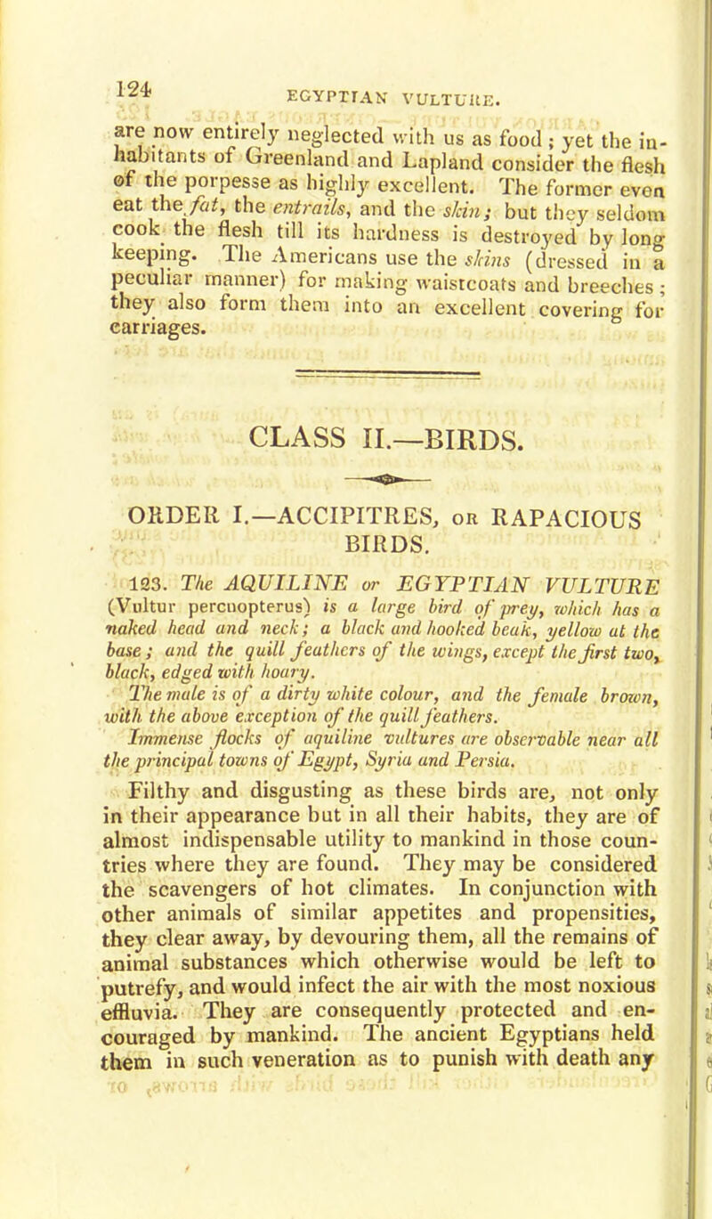 EGYPTIAN VULTUUE. are now entirely neglected with us as food ; yet the in- habitants of Greenland and Lapland consider the flesh of the porpesse as highly excellent. The former even eat the fat, the entrails, and the skin; but they seldom cook the flesh till its hardness is destroyed by W keeping. /The Americans use the shins (dressed in a peculiar manner) for making waistcoats and breeches ; they also form them into an excellent covering for carriages. CLASS II.—BIRDS. ORDER I.—ACCIPITRES, oh RAPACIOUS BIRDS. 123. The AQUILINE or EGYPTIAN VULTURE (Vultur percuopterus) is a large bird of prey, which has a naked head and neck; a black and hooked beak, yellow at the base; and the quill feathers of the wings, except the first two, black, edged with hoary. The male is of a dirty white colour, and the female brozon, with, the above exception of the quill feathers. Immense flocks of aquiline vultures are observable near all the principal towns of Egypt, Syria and Persia. Filthy and disgusting as these birds are, not only in their appearance but in all their habits, they are of almost indispensable utility to mankind in those coun- tries where they are found. They may be considered the scavengers of hot climates. In conjunction with other animals of similar appetites and propensities, they clear away, by devouring them, all the remains of animal substances which otherwise would be left to putrefy, and would infect the air with the most noxious effluvia. They are consequently protected and en- couraged by mankind. The ancient Egyptians held them in such veneration as to punish with death any