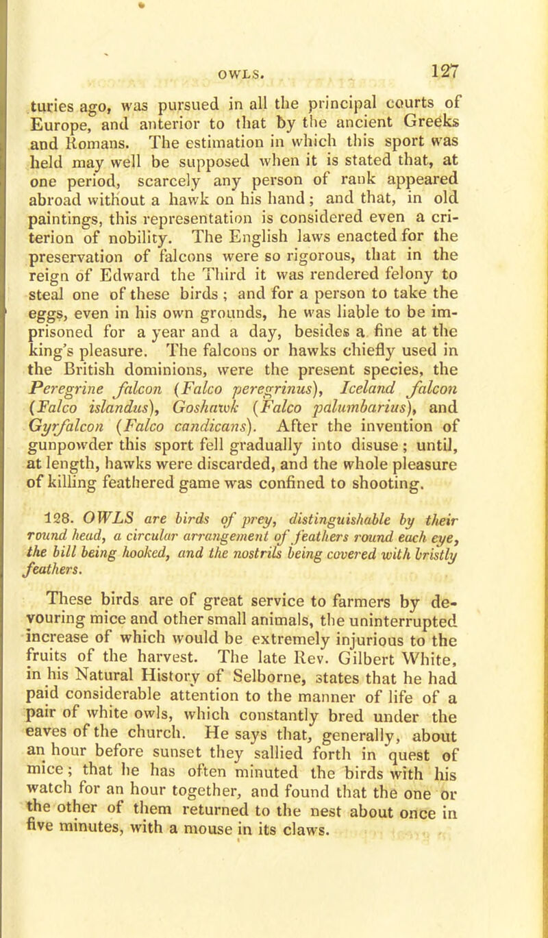 OWLS. turies ago, was pursued in all the principal courts of Europe, and anterior to that by the ancient Greeks and Romans. The estimation in which this sport was held may well be supposed when it is stated that, at one period, scarcely any person of rank appeared abroad without a hawk on his hand; and that, in old paintings, this representation is considered even a cri- terion of nobility. The English laws enacted for the preservation of falcons were so rigorous, that in the reign of Edward the Third it was rendered felony to steal one of these birds ; and for a person to take the eggs, even in his own grounds, he was liable to be im- prisoned for a year and a day, besides a fine at the king's pleasure. The falcons or hawks chiefly used in the British dominions, were the present species, the Peregrine falcon (Falco pieregrinus), Iceland falcon (Falco islandus), Goshatvk (Falco palumbarius), and Gyrfalcon (Falco cajidicans). After the invention of gunpowder this sport fell gradually into disuse ; until, at length, hawks were discarded, and the whole pleasure of killing feathered game was confined to shooting. 128. OWLS are birds of prey, distinguishable by their round head, a circular arrangement of feathers round each eye, the bill being hooked, and the nostrils being covered with bristly feathers. These birds are of great service to farmers by de- vouring mice and other small animals, the uninterrupted increase of which would be extremely injurious to the fruits of the harvest. The late Rev. Gilbert White, in his Natural History of Selborne, states that he had paid considerable attention to the manner of life of a pair of white owls, which constantly bred under the eaves of the church. He says that, generally, about an hour before sunset they sallied forth in quest of mice; that he has often minuted the birds with his watch for an hour together, and found that the one or the other of them returned to the nest about once in five minutes, with a mouse in its claws.