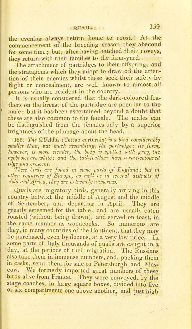 the evening always return home to roost. At the commencement of the breeding season they abscond for some time; but, after having hatched their coveys, they return with their families to the farm-yard. The attachment of partridges to their offspring, and the stratagems which they adopt to draw off the atten- tion of their enemies whilst these seek their safety by flight or concealment, are well known to almost all persons who are resident in the country. It is usually considered that the dark-coloured fea* thers on the breast of the partridge are peculiar to the male; but it has been ascertained beyond a doubt that these are also common to the female. The males can be distinguished from the females only by a superior brightness of the plumage about the head. 168. The QUAIL (Tetrao corturnix) is a bird considerably smaller than, but much resembling, the partridge: its form, however, is more slender, the body is spotted with grey, the eyebrows are white; and the tail-feathers have a rust-coloured edge and crescent* These birds are found in some parts of England; but irt other countries of Europe, as well as in several districts of Asia and Africa, they are extremely numerous. Quails are migratory birds, generally arriving in this country betwixt the middle of August and the middle of September, and departing in April. They are greatly esteemed for the table; and are usually eaten roasted (without being drawn), and served on toast, in the same manner as woodcocks. So numerous are they, in many countries of the Continent, that they may be purchased, even by dozens, at a very low price. In some parts of Italy thousands of quails are caught in a day, at the periods of their migration. The Russians also take them in immense numbers, and, packing them in casks, send them for sale to Petersburgh and Mos- cow. We formerly imported great numbers of these birds alive from France. They were conveyed, by the stage coaches, in large square boxes, divided into five or six compartments one above another, and just high