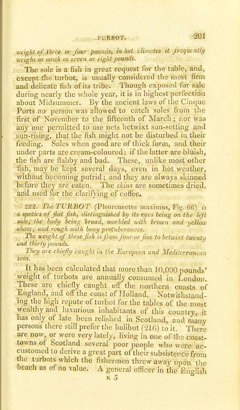 wight of three or four pounds, in hot climates it frequently ucighs as much as seven or eight pounds. The sole is a fish in great request for the table, and, except the turbot, is usually considered the most firm and delicate fish of its tribe. Though exposed for sale during nearly the whole year, it is in highest perfection about Midsummer. By the ancient laws of the Cinque Ports no person was allowed to catch soles from the first of November to the fifteenth of March; nor was any one permitted to use nets betwixt sun-setting and sun-rising, that the fish might not be disturbed in their feeding. Soles when good are of thick form, and their under parts are cream-coloured; if the latter are bluish, the fish are flabby and bad. These, unlike most other fish, may be kept several days, even in hot weather, without becoming putrid; and they are always skinned before they are eaten. The skins are sometimes dried, and used for the clarifying of coffee. 222. The TURBOT (Plenronectes maximus, Fig. 66) is a species of flat fish, distinguished by its eyes being on the left side, the body being broad, marbled with brown and yellow above, and rough zoith bony protuberances. The weight of these fish is from four or Jive to betwixt twenty and thirty pounds. They are chiefly caught in the European and Mediterranean seas. It has been calculated that more than 10,000 pounds' weight of turbots are annually consumed in London. These are chiefly caught off the northern coasts of England, and off the coast of Holland. Notwithstand- ing the high repute of turbot for the tables of the most wealthy and luxurious inhabitants of this country, it has only of late been relished in Scotland, and many persons there still prefer the holibut (216) to it. There are now, or were very lately, living in one of the coast- towns of Scotland several poor people who were ac- customed to derive a great part of their subsistence from the turbots which the fishermen threw away upon the beach as of no value. A general officer in the bneM k 5 °