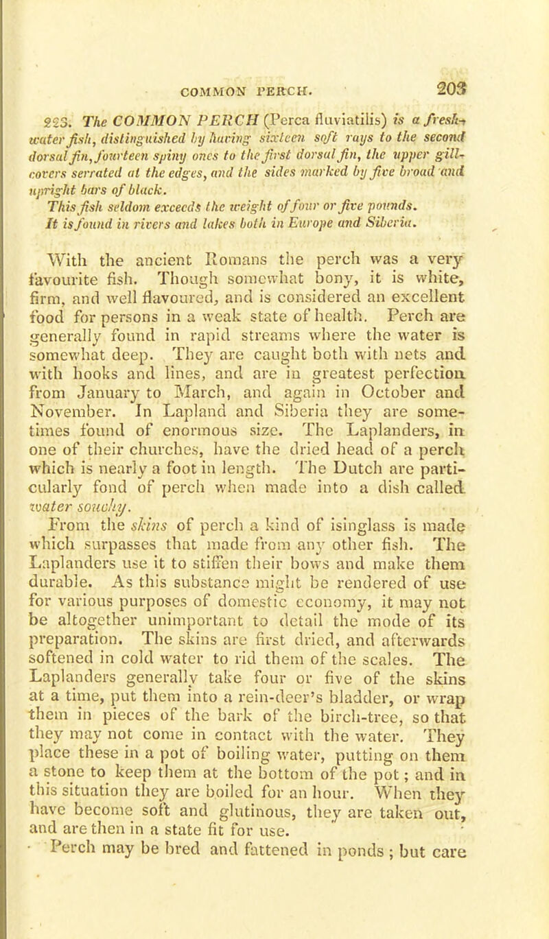 COMMON PERCH. 223. The COMMON PERCH (Perca fluviatilis) is afresh-, water fish, distinguished by hating sixteen soft rays to the second dorsal fin, fourteen spiny ones to the first dorsal fin, the upper gill- covers serrated at the edges, and the sides marked by five broad and upright bars of black. This fish seldom exceeds the iceight of four or five pounds. It is found in rivers and lakes both in Europe arid Siberia. With the ancient Romans the perch was a very favourite fish. Though somewhat bony, it is white, firm, and well flavoured, and is considered an excellent food for persons in a weak state of health. Perch are generally found in rapid streams where the water is somewhat deep. They are caught both with nets and with hooks and lines, and are in greatest perfection, from January to March, and again in October and November. In Lapland and Siberia they are some- times found of enormous size. The Laplanders, in one of their churches, have the dried head of a perch which is nearly a foot in length. The Dutch are parti- cularly fond of perch when made into a dish called imter souojiy. From the shins of perch a kind of isinglass is made which surpasses that made from any other fish. The Laplanders use it to stiffen their bows and make them durable. As this substance might be rendered of use for various purposes of domestic economy, it may not be altogether unimportant to detail the mode of its preparation. The skins are first dried, and afterwards softened in cold water to rid them of the scales. The Laplanders generally take four or five of the skins at a time, put them into a rein-deer's bladder, or wrap them in pieces of the bark of the birch-tree, so that they may not come in contact with the water. They place these in a pot of boiling water, putting on them a stone to keep them at the bottom of the pot; and in this situation they are boiled for an hour. When they have become soft and glutinous, they are taken out, and are then in a state fit for use. Perch may be bred and fattened in ponds ; but care