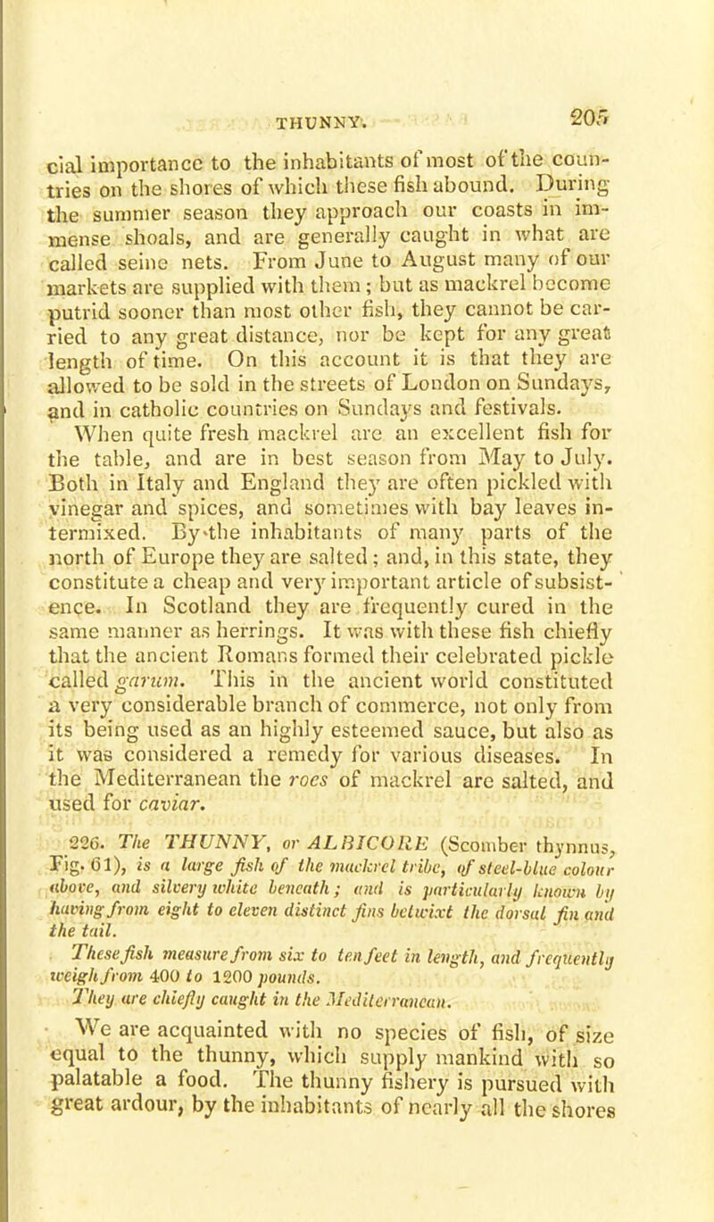 THUNNY. cial importance to the inhabitants of most of the coun- tries on the shores of which these fish abound. During the summer season they approach our coasts in im- mense shoals, and are generally caught in what are called seine nets. From June to August many of our markets are supplied with them; but as mackrel become putrid sooner than most other fish, they cannot be car- ried to any great distance, nor be kept for any greats length of time. On this account it is that they are allowed to be sold in the streets of London on Sundays, and in catholic countries on Sunday's and festivals. When quite fresh mackrel are an excellent fish for the table, and are in best season from May to July. Both in Italy and England they are often pickled with vinegar and spices, and sometimes with bay leaves in- termixed. By-the inhabitants of many parts of the north of Europe they are salted ; and, in this state, they constitute a cheap and very important article of subsist- ence. In Scotland they are frequently cured in the same manner as herrings. It was with these fish chiefly that the ancient Romans formed their celebrated pickle called garum. This in the ancient world constituted a very considerable branch of commerce, not only from its being used as an highly esteemed sauce, but also as it was considered a remedy for various diseases. In the Mediterranean the roes of mackrel are salted, and vised for caviar. 226. The THUNNY, or ALRICORE (Scomber thynnus, Fig. (31), is a large fish of the mackrel tribe, tf steel-blue colour above, and silvery white beneath; and is particularly known by having from eight to eleven distinct fins betwixt the dorsul fin and the tail. These fish measure from six to ten feet in length, and frequently weigh from 400 to 1200 pounds. They are chiefly caught in the Mediterranean. We are acquainted with no species of fish, of size equal to the thunny, which supply mankind with so palatable a food. The thunny fishery is pursued with great ardour, by the inhabitants of nearly all the shores
