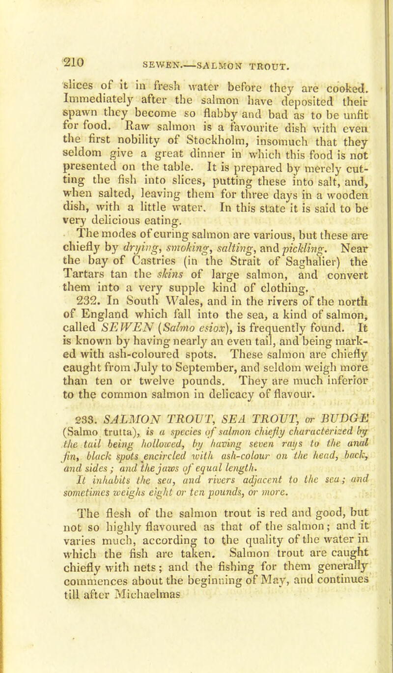 SEWEN SALMON TROUT. slices of it in fresh water before they are cooked. Immediately after the salmon have deposited their spawn they become so flabby and bad as to be unfit for food. Raw salmon is a favourite dish with even the first nobility of Stockholm, insomuch that they seldom give a great dinner in which this food is not presented on the table. It is prepared by merely cut- ting the fish into slices, putting these into salt, and, when salted, leaving them for three days in a wooden dish, with a little water. In this state it is said to be very delicious eating. The modes of curing salmon are various, but these are chiefly by drying, smoking, salting, and pickling. Near the bay of Castries (in the Strait of Saghalier) the Tartars tan the skins of large salmon, and convert them into a very supple kind of clothing. 232. In South Wales, and in the rivers of the north of England which fall into the sea, a kind of salmon, called SEWEN (Salmo esiox), is frequently found. It is known by having nearly an even tail, and being mark- ed with ash-coloured spots. These salmon are chiefly caught from July to September, and seldom weigh more than ten or twelve pounds. They are much inferior to the common salmon in delicacy of flavour. 233. SALMON TROUT, SEA TROUT, or BUDGE (Salmo trutta), is a species of salmon chiefly characterized by the tail being hollowed, by having seven rays to the anal fin, black spots encircled with ash-colour on the head, back, and sides; and the jaws of equal length. It inhabits the sea, and rivers adjacent to the sea; and sometimes zoeighs eight or ten pounds, or more. The flesh of the salmon trout is red and good, but not so highly flavoured as that of the salmon; and it varies much, according to the quality of the water in which the fish are taken. Salmon trout are caught chiefly with nets; and the fishing for them generally commences about the beginning of May, and continues till after Michaelmas