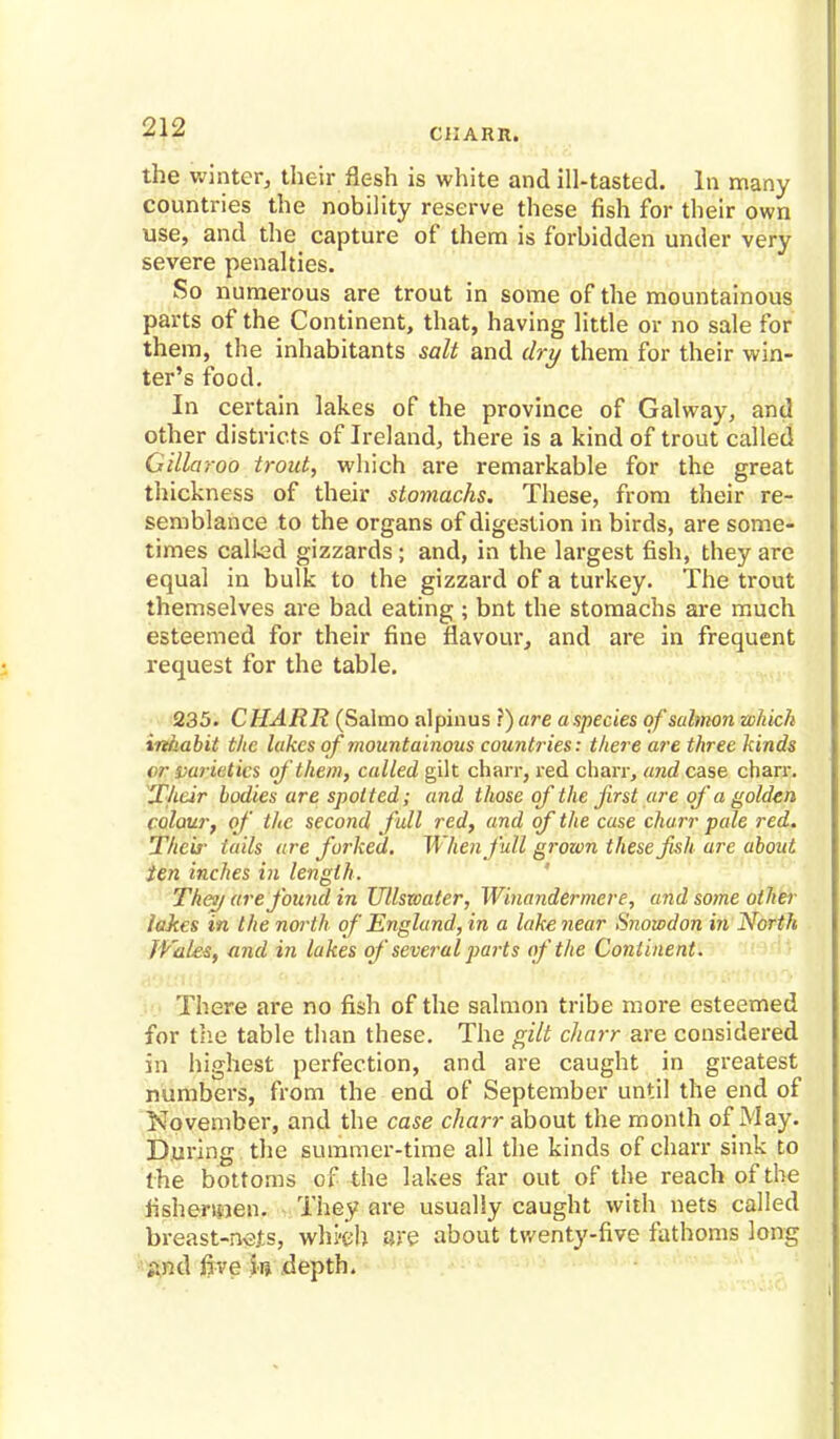CilARlt. the winter, their flesh is white and ill-tasted. In many countries the nobility reserve these fish for their own use, and the capture of them is forbidden under very severe penalties. So numerous are trout in some of the mountainous parts of the Continent, that, having little or no sale for them, the inhabitants salt and dry them for their win- ter's food. In certain lakes of the province of Galway, and other districts of Ireland, there is a kind of trout called GMaroo trout, which are remarkable for the great thickness of their stomachs. These, from their re- semblance to the organs of digestion in birds, are some- times calked gizzards; and, in the largest fish, they are equal in bulk to the gizzard of a turkey. The trout themselves are bad eating ; bnt the stomachs are much esteemed for their fine flavour, and are in frequent request for the table. 235. CHARR (Salmo alpinus r) are a species of salmon which inhabit the lakes of mountainous countries: there are three kinds or varieties of them, called gilt charr, red charr, and case charr. Their bodies are spotted; and those of the first are of a golden colour, of the second full red, and of the case charr pale red. Their tails are forked. When full grown these fish are about ten inches in length. They are found in Ullswater, Winandermere, and some other lakes in the north of England, in a lake near Snowdon in North Wales, and in lakes of several parts of the Continent. There are no fish of the salmon tribe more esteemed for the table than these. The gilt charr are considered in highest perfection, and are caught in greatest numbers, from the end of September until the end of November, and the case charr about the month of May. During the summer-time all the kinds of charr sink to the bottoms of the lakes far out of the reach of the fishermen. They are usually caught with nets called breast-nets, whi-eh are about twenty-five fathoms long And five ii» depth.