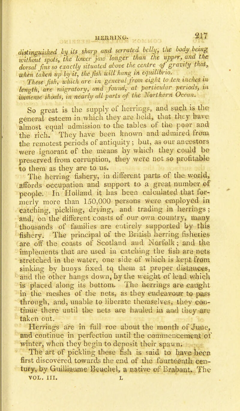 distinguished by its sharp and serrated belly, the body being icithoul spots, the lower jaw longer than the upper, and the dorsal fins so exactly situated above the centre of gravity that, when taken hp by it, the fish will hang in eqmlibrio. These fish, which are in general from eight to ten inches in length, are migratory, and found, at parcicular periods, m immense shoals^in nearly all parts of the Northern Ocean. So great is the supply of herrings, and such is the general esteem in which they are held> that they have almost equal admission to the tables of the poor and the rich. They have been known and admired from the remotest periods of antiquity ; but, as our ancestors were ignorant of the means by which they could be preserved from corruption, they were not so profitable to them as they are to us. The herring fishery, in different parts of the world, affords occupation and support to a great number of people. In 'Holland it has been calculated that for- merly more than 150,000 persons were employed in catching, pickling, drying, and trading in herrings; and, on the different coasts of our own country, many thousands of families are entirely supported by this fishery. The principal of the British herring fisheries are off the coasts of Scotland and Norfolk; and the implements tliat are used in catching the fish are nets stretched in the water, one 6ide of which is kept from sinking by buoys fixed tq them at proper distances, and the other hangs down, by the weight of lead which is placed along its bottom. The herrings are caught in the meshes of the nets, as they endeavour to pass through, and, unable to liberate themselves, they con- tinue there until the nets are hauled in a-ad they are taken out. Herrings are in full roe about the month of June, and continue in perfection until the commencement of winter, when they begin to deposit their spawn. The art of pickling these fish is said to have been first discovered towards the end of the fourteenth cen- tury, by Guilliaume Beuchel, a native of Brabant. The VOL. III. L