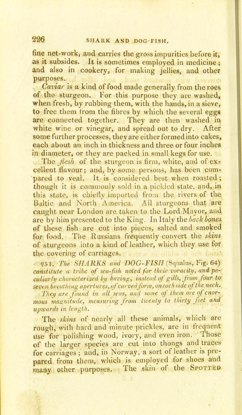 SHARK AND DOG-FISH. fine net-work, and carries the gross impurities before it, as it subsides. It is sometimes employed in medicine; and also in cookery, for making jellies, and other purposes. Caviar is a kind of food made generally from the roes of the sturgeon. For this purpose they are washed, when fresh, by rubbing them, with the hands, in a sieve, to free them from the fibres by which the several eggs are connected together. They are then washed in white wine or vinegar, and spread out to dry. After some further processes, theyare either formed into cakes, each about an inch in thickness and three or four inches in diameter, or they are packed in small kegs for use. The jiesli of the sturgeon is firm, white, and of ex- cellent flavour; and, by some persons, has been com- pared to veal. It is considered best when roasted; though it is commonly sold in a pickled state, and, in this state, is chiefly imported from the rivers of the Baltic and North America. All sturgeons that are caught near London are taken to the Lord Mayor, and are by him presented to the King. In Italy the back bones of these fish are cut into pieces, salted and smoked for food. The Russians frequently convert the skins of sturgeons into a kind of leather, which they use for the covering of carriages. Ml. The SHARKS and DOG-FISH (Sqtialus, Fig. 64) constitute a tribe of sca-fis/i noted for their voracity, and pe- culiarly characterized by having, instead of gills, from four to seven breathing apertures, of curved form, oneachside of the neck. They ure found in all seas, and some of them are of enor- mous magnitude, measuring from twenty to thirty feet and upwards in length. The skins of nearly all these animals, which are rough, with hard and minute prickles, are in frequent use for polishing wood, ivory, and even iron. Those of the larger species are cut into thongs and traces for carriages ; and, in Norway, a sort of leather is pre- pared from them, which is employed for shoes and many other purposes. The skin of the Spotted