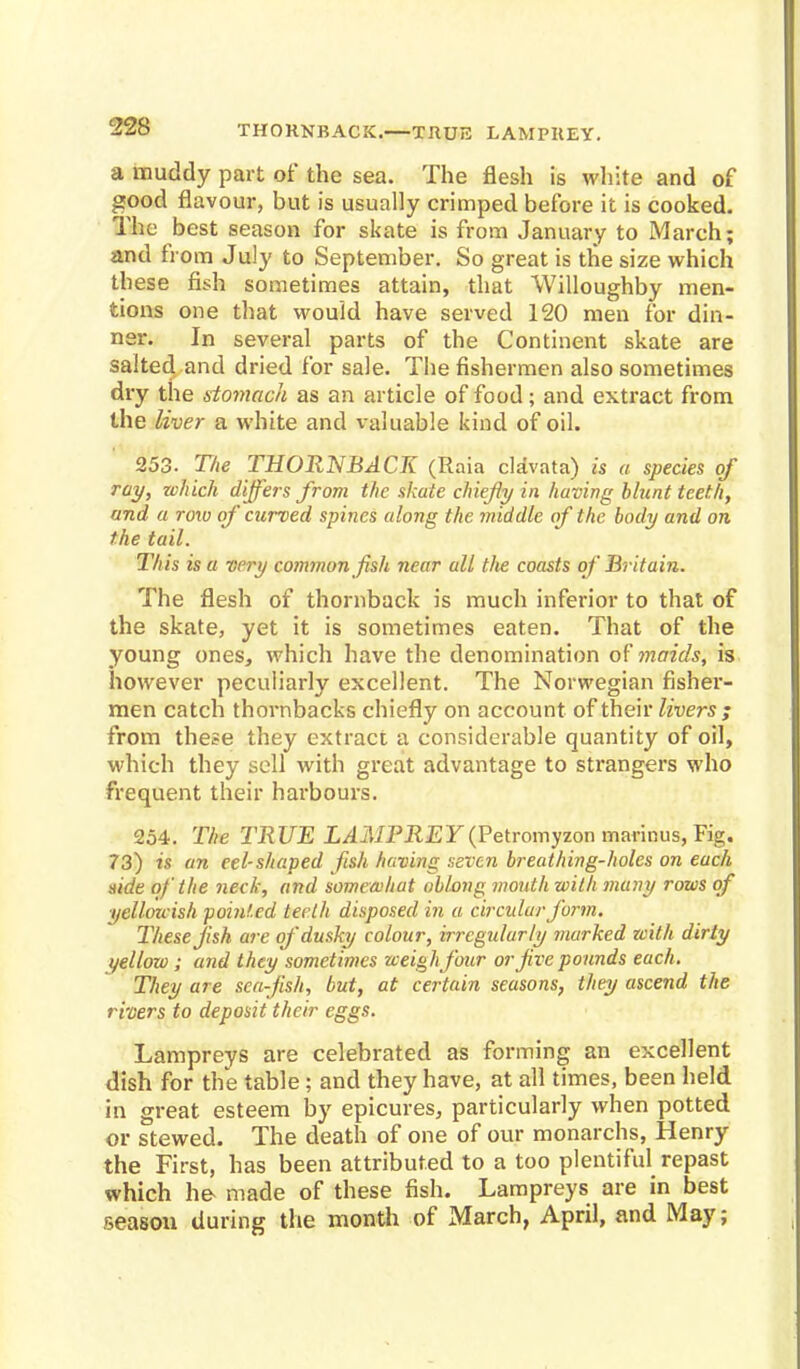 THORNBACK.—TRUE LAMPKEY. a muddy part of the sea. The flesh is white and of good flavour, but is usually crimped before it is cooked. The best season for skate is from January to March; and from July to September. So great is the size which these fish sometimes attain, that Willoughby men- tions one that would have served 120 men for din- ner. In several parts of the Continent skate are salted and dried for sale. The fishermen also sometimes dry the stomach as an article of food; and extract from the liver a white and valuable kind of oil. 253. The THORNBACK (Raia clavata) is a species of ray, which differs from the skate chiefly in having blunt teeth, and a row of curved spines along the middle of the body and on the tail. This is a very common fish near all the coasts of Britain. The flesh of thornback is much inferior to that of the skate, yet it is sometimes eaten. That of the young ones, which have the denomination of maids, is however peculiarly excellent. The Norwegian fisher- men catch thornbacks chiefly on account of their livers ; from these they extract a considerable quantity of oil, which they sell with great advantage to strangers who frequent their harbours. 254. The TRUE (Petromyzon marinus, Fig. 73) is an eel-shaped fish having seven breathing-holes on each side of the neck, and somewhat oblong mouth with many rows of yellouish pointed teeth disposed in a circular form. These Jish are of dusky colour, irregularly marked with dirty yellow; and they sometimes weigh four or Jive pounds each. They are sea-fish, but, at certain seasons, they ascend the rivers to deposit their eggs. Lampreys are celebrated as forming an excellent dish for the table ; and they have, at all times, been held in great esteem by epicures, particularly when potted or stewed. The death of one of our monarchs, Henry the First, has been attributed to a too plentiful repast which he made of these fish. Lampreys are in best season during the month of March, April, and May;