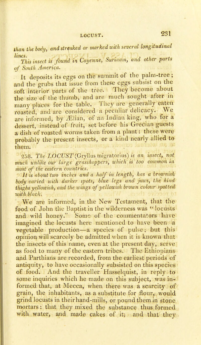 LOCUST. than the body, and streaked or marked with several longitudinal llTlThis insect is found in Cayenne, Surinam, and other parts of South America. It deposits its eggs on the summit of the palm-tree ; and the grubs that issue from these eggs subsist on the soft interior parts of the tree. They become about the size of the thumb, and are much sought after in many places for the table. They are generally eaten roasted, and are considered a peculiar delicacy. We are informed, by Julian; of an Indian king, who for a dessert, instead of fruit, set before his Grecian guests a dish of roasted worms taken from a plant: these were probably the present insects, or a kind nearly allied to them. 258. The LOCUST (Gryllus migratorius) is an insect, not much, unlike our large grasshoppers, which is loo common in most of the eastern countries. It is about two inches and a half in length, has a brownish body varied with darker spots, blue legs and jaws, the hind thighs yellowish, and the wings of yellowish brown colour spotted ■with black. We are informed, in the New Testament, that the food of John the Baptist in the wilderness was  locusts and wild honey. Some of the commentators have imagined the locusts here mentioned to have been a vegetable production—a species of pulse; but this opinion will scarcely be admitted when it is known that the insects of this name, even at the present day, serve as food to many of the eastern tribes. The Ethiopians and Parthians are recorded, from the earliest periods of antiquity, to have occasionally subsisted on this species of food. And the traveller Hasselquist, in reply to some inquiries which he made on this subject, was in- formed that, at Mecca, when there was a scarcity of grain, the inhabitants, as a substitute for flour, would grind locusts in theirhand-mills, or pound them in stone mortars: that they mixed the substance thus formed with water, and made cakes of it; and that they
