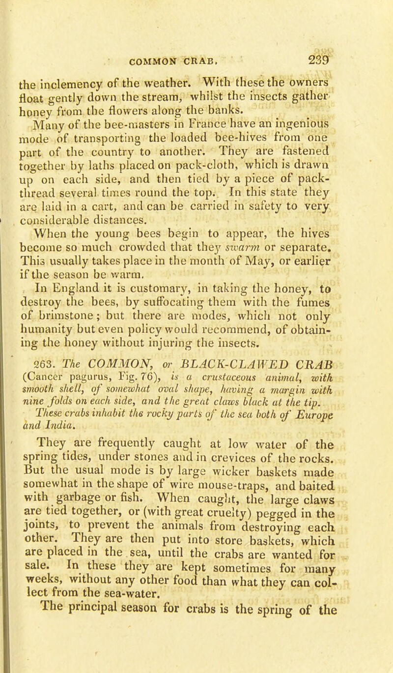 the inclemency of the weather. With these the owners float gently down the stream, whilst the insects gather honey from the flowers along the banks. Many of the bee-masters in France have an ingenious mode of transporting the loaded bee-hives from one part of the country to another. They are fastened together by laths placed on pack-cloth, which is drawn up on each side, and then tied by a piece of pack- thread several times round the top. In this state they are laid in a cart, and can be carried in safety to very considerable distances. When the young bees begin to appear, the hives become so much crowded that the}' swarm or separate. This usually takes place in the month of May, or earlier if the season be warm. In England it is customary, in taking the honey, to destroy the bees, by suffocating them with the fumes of brimstone; but there are modes, which not only humanity but even policy would recommend, of obtain- ing the honey without injuring the insects. 263. The COMMON, or BLACK-CLAWED CRAB (Cancer pagurus, Fig. 76), is a crustaceous animal, with smooth shell, of somewhat oval shape, having a margin with nine folds on each side, and the great claws black at the tip. These crabs inhabit the rocky parts of the sea both of Europe and India. They_ are frequently caught at low water of the spring tides, under stones and in crevices of the rocks. But the usual mode is by large wicker baskets made somewhat in the shape of wire mouse-traps, and baited with garbage or fish. When caught, the large claws are tied together, or (with great cruelty) pegged in the joints, to prevent the animals from destroying each other. They are then put into store baskets, which are placed in the sea, until the crabs are wanted for sale. In these they are kept sometimes for many weeks, without any other food than what they can col- lect from the sea-water. The principal season for crabs is the spring of the