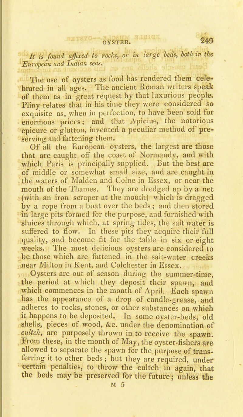OYSTER. It is found affixed to rocks, or in large beds, both in the European and Indian seas. The use of oysters as food has rendered them cele- brated in all ages. The ancient Roman writers speak of them as in great request by that luxurious people. Pliny relates that in his time they were considered so exquisite as, when in perfection, to have been sold for enormous prices; and that Apicius, the notorious epicure or glutton, invented a peculiar method of pre- serving and fattening them. Of all the European oysters, the largest are those that are caught off the coast of Normandy, and with which Paris is principally supplied. But the best are of middle or somewhat small size, and are caught in the waters of Maiden and Colne in Essex, or near the mouth of the Thames. They are dredged up by a net (with an iron scraper at the mouth) which is dragged by a rope from a boat over the beds; and then stored in large pits formed for the purpose, and furnished with sluices through which, at spring tides, the saltwater is suffered to flow. In these pits they acquire their full quality, and become fit for the table in six or eight weeks. The most delicious oysters are considered to be those which are fattened in the salt-water creeks near Milton in Kent, and Colchester in Essex. Oysters are out of season during the summer-time, the period at which they deposit their spawn, and which commences in the month of April. Each spawn has the appearance of a drop of candle-grease, and adheres to rocks, stones, or other substances on which it happens to be deposited. In some oyster-beds, old shells, pieces of wood, &c. under the denomination of cultch, are purposely thrown in to receive the spawn. From these, in the month of May, the oyster-fishers are allowed to separate the spawn for the purpose of trans- ferring it to other beds; but they are required, under certain penalties, to throw the cultch in again, that the beds may be preserved for the future; unless the