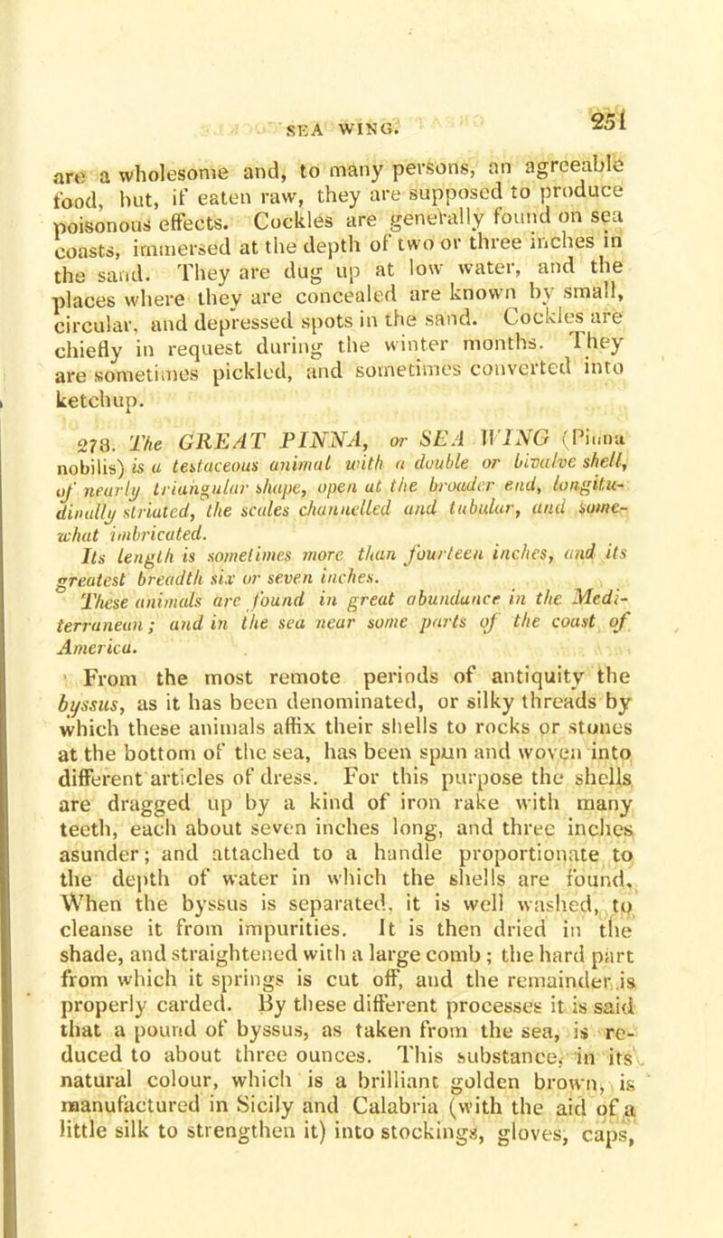 SEA WING. are a wholesome and, to many persons, an agreeable food, hut, if eaten raw, they are supposed to produce poisonous effects. Cockles are generally found on sea coasts, immersed at the depth of two or three inches in the sand. They are dug up at low water, and the places where they are concealed are known by small, circular, and depressed spots in the sand. Cockles are chiefly in request during the winter months. They are sometimes pickled, and sometimes converted into ketchup. 278. The GREAT PINNA, or SEA WING (Pinna nobilis) is a testaceous animal with a double or bivalve shell, of nearly triangular shape, open at the broader end, longitu- dinally striated, the scales channelled and tubular, and some- what imbricated. Its length is sometimes more than fourteen inches, and its greatest breadth six ur seven inches. T/tese animals arc found in great abundance in the Medi- terranean; and in the sea near some parts of the coast of America. ■ From the most remote periods of antiquity the byssus, as it has been denominated, or silky threads by which these animals affix their shells to rocks or stones at the bottom of the sea, has been spun and woven into different articles of dress. For this purpose the shells are dragged up by a kind of iron rake with many teeth, each about seven inches long, and three inches asunder; and attached to a handle proportionate to the depth of water in which the shells are found. When the byssus is separated, it is well washed, to cleanse it from impurities. It is then dried in the shade, and straightened with a large comb ; the hard part from which it springs is cut off, and the remainder is properly carded. By these different processes it is said that a pound of byssus, as taken from the sea, is re- duced to about three ounces. This substance, in its natural colour, which is a brilliant golden brown, h manufactured in Sicily and Calabria (with the aid of a little silk to strengthen it) into stockings, gloves, caps,
