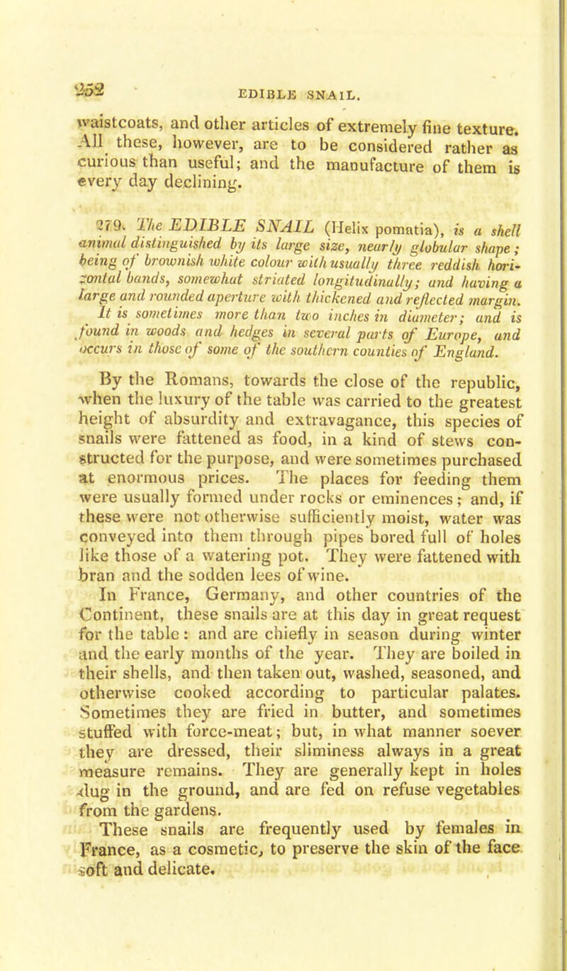 952 EDIBLE SNAIL. waistcoats, and other articles of extremely fine texture. All these, however, are to be considered rather as curious than useful; and the manufacture of them is every day declining. 279. The EDIBLE SNAIL (Helix pomatia), is a shell avumd distinguished hj its large size, neurit) globular shape; being of brownish white colour with usually three reddish hori- zontal bands, somewhat striated longitudinally; and having a large and rounded aperture with thickened and rejected margin. It is sometbnes more than two inches in diameter; and is found in woods and hedges in several parts of Europe, and occurs in those of some of the southern counties of England. By the Romans, towards the close of the republic, when the luxury of the table was carried to the greatest height of absurdity and extravagance, this species of snails were fattened as food, in a kind of stews con- structed for the purpose, and were sometimes purchased at enormous prices. The places for feeding them were usually formed under rocks or eminences ; and, if these were not otherwise sufficiently moist, water was conveyed into them through pipes bored full of holes like those of a watering pot. They were fattened with bran and the sodden lees of wine. In France, Germany, and other countries of the Continent, these snails are at this day in great request for the table: and are chiefly in season during winter and the early months of the year. They are boiled in their shells, and then taken out, washed, seasoned, and otherwise cooked according to particular palates. Sometimes they are fried in butter, and sometimes stuffed with force-meat; but, in what manner soever they are dressed, their sliminess always in a great measure remains. They are generally kept in holes 4lug in the ground, and are fed on refuse vegetables from the gardens. These snails are frequently used by females in France, as a cosmetic, to preserve the skin of the face i-oft and delicate.
